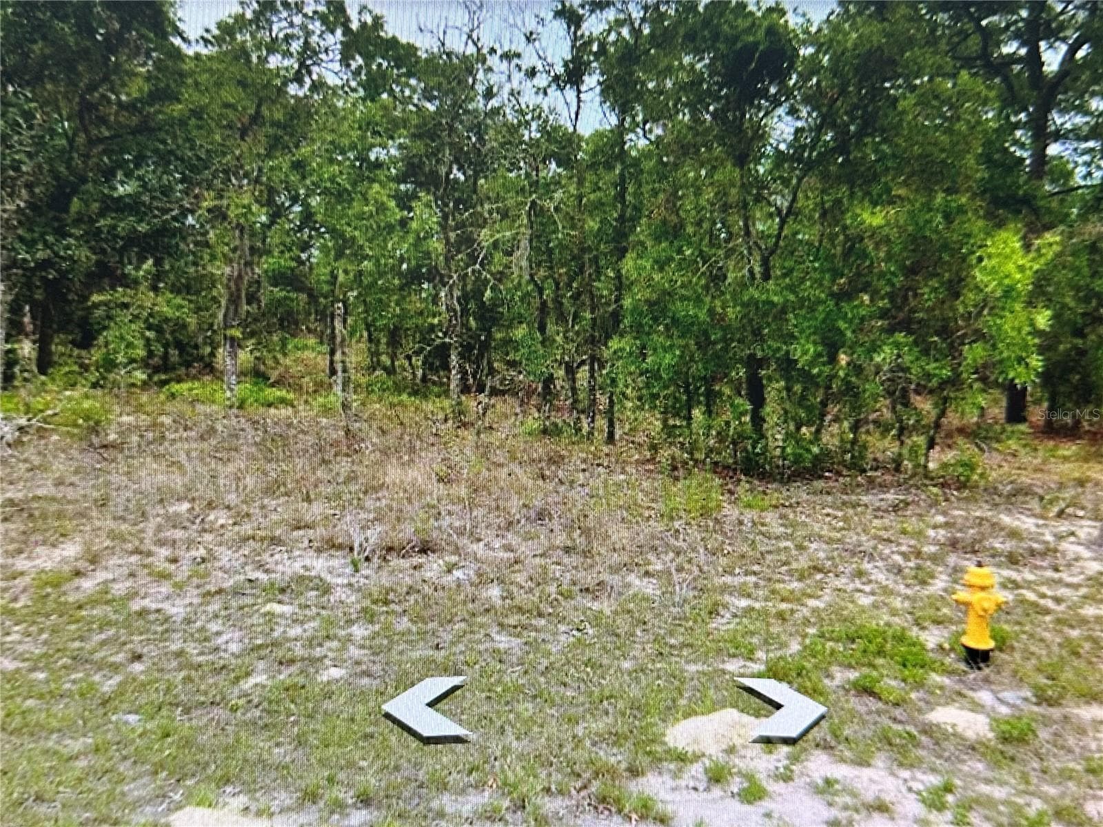 Land at 2466 W SWANSON DR, CITRUS SPRINGS, photo 2 of 21