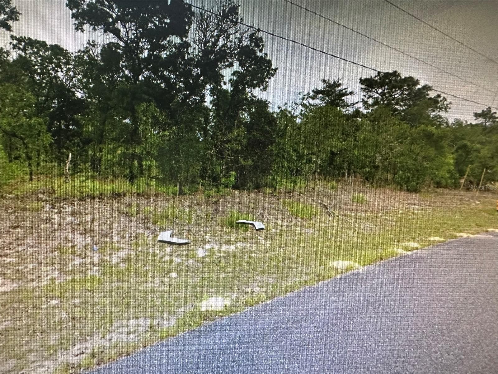 Land at 2466 W SWANSON DR, CITRUS SPRINGS, photo 8 of 21