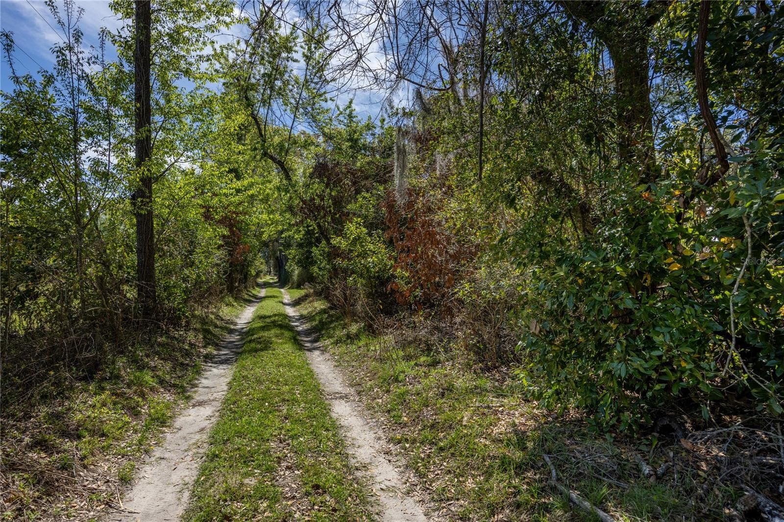Land at NW 253RD ST, HIGH SPRINGS, photo 3 of 15