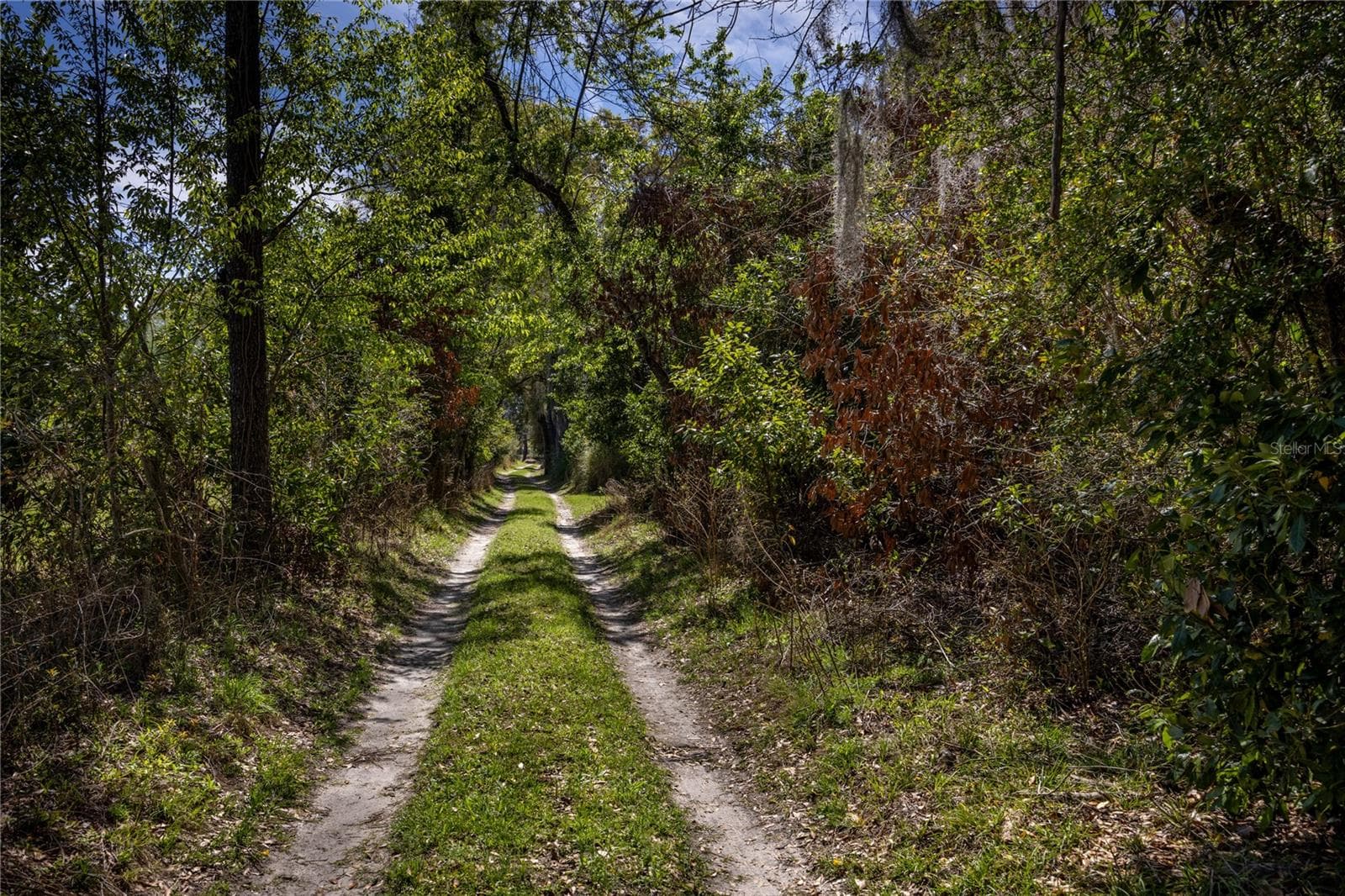 Land at NW 253RD ST, HIGH SPRINGS, photo 4 of 15