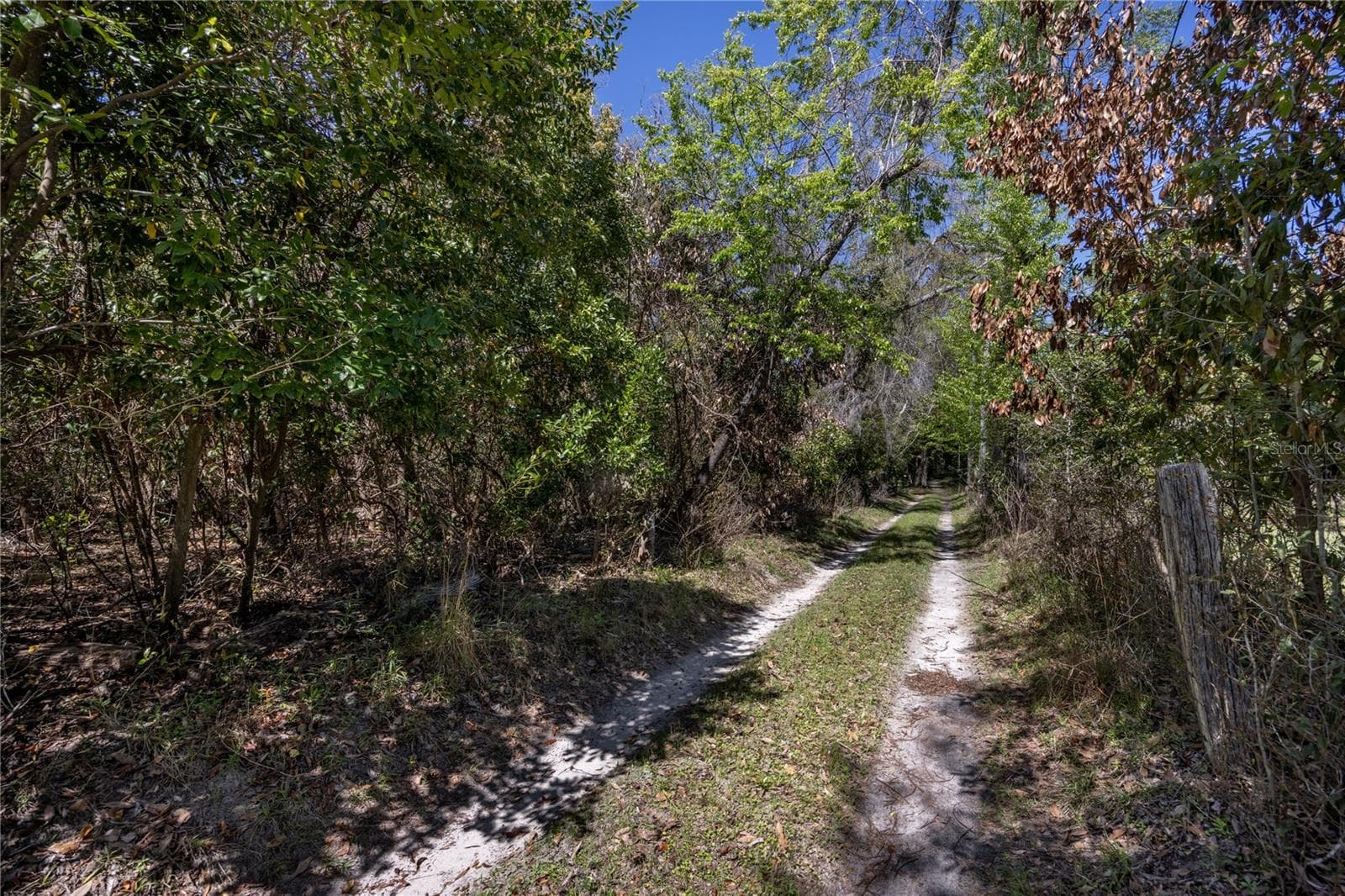 Land at NW 253RD ST, HIGH SPRINGS, photo 5 of 15