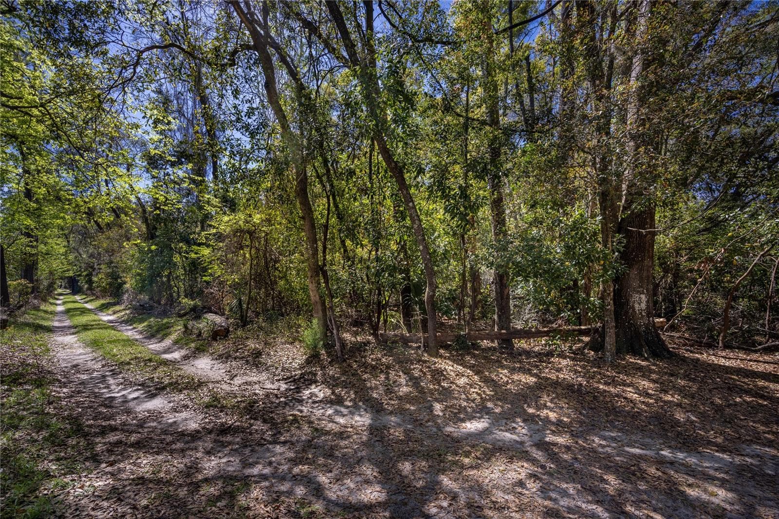 Land at NW 253RD ST, HIGH SPRINGS, photo 7 of 15