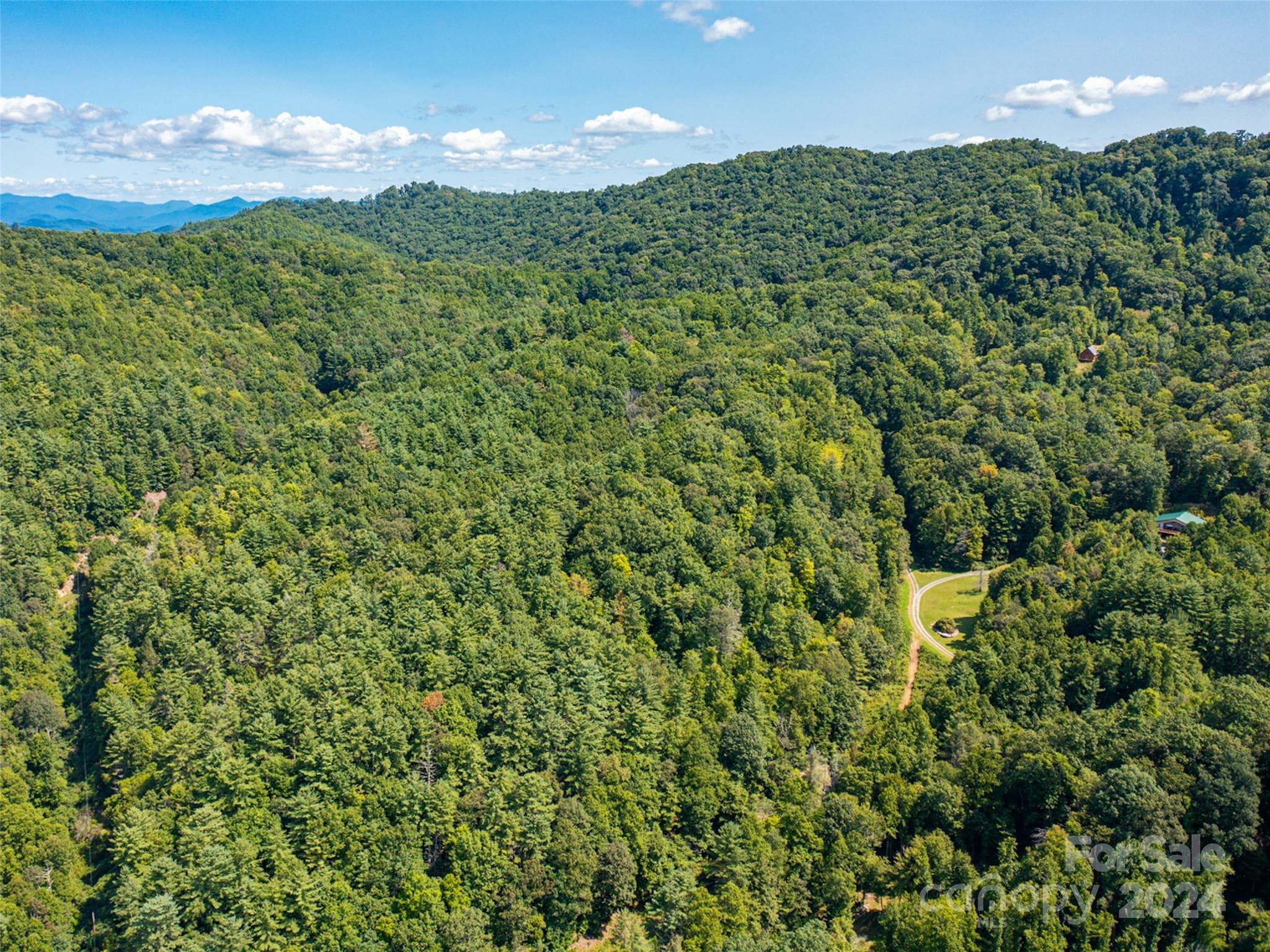 View of Land - 00000 Meadow Fork School Road, Hot Springs