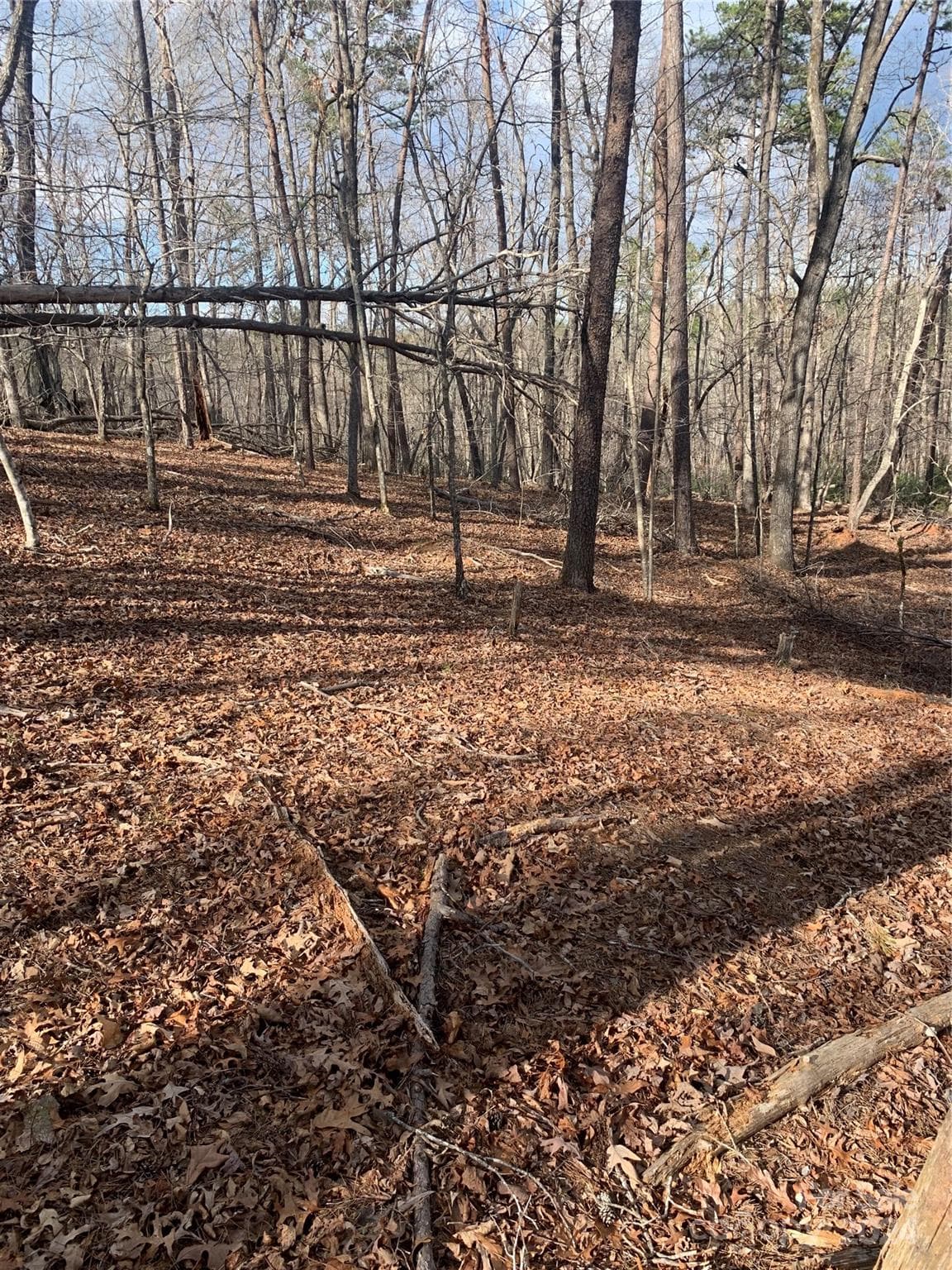 Acreage at Mill Spring, photo 2 of 17