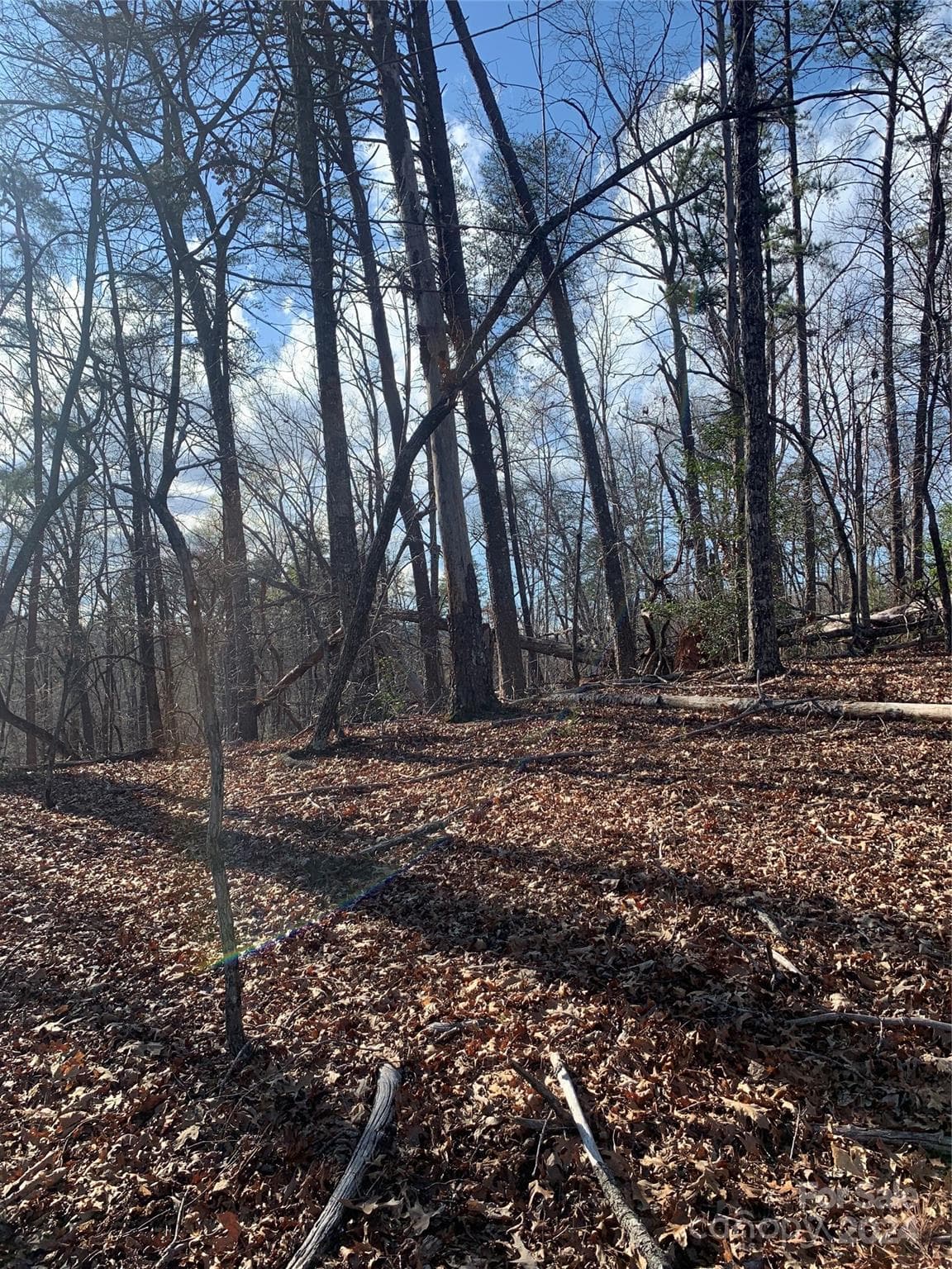 Acreage at Mill Spring, photo 3 of 17
