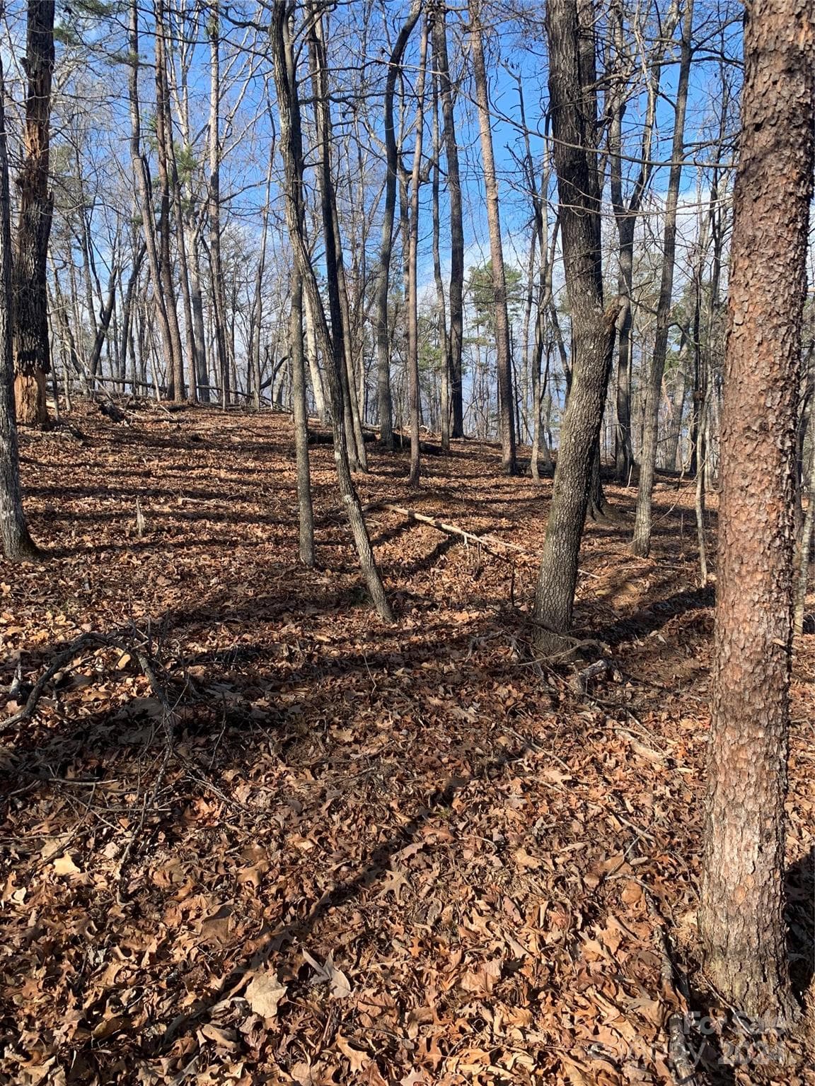 Acreage at Mill Spring, photo 4 of 17
