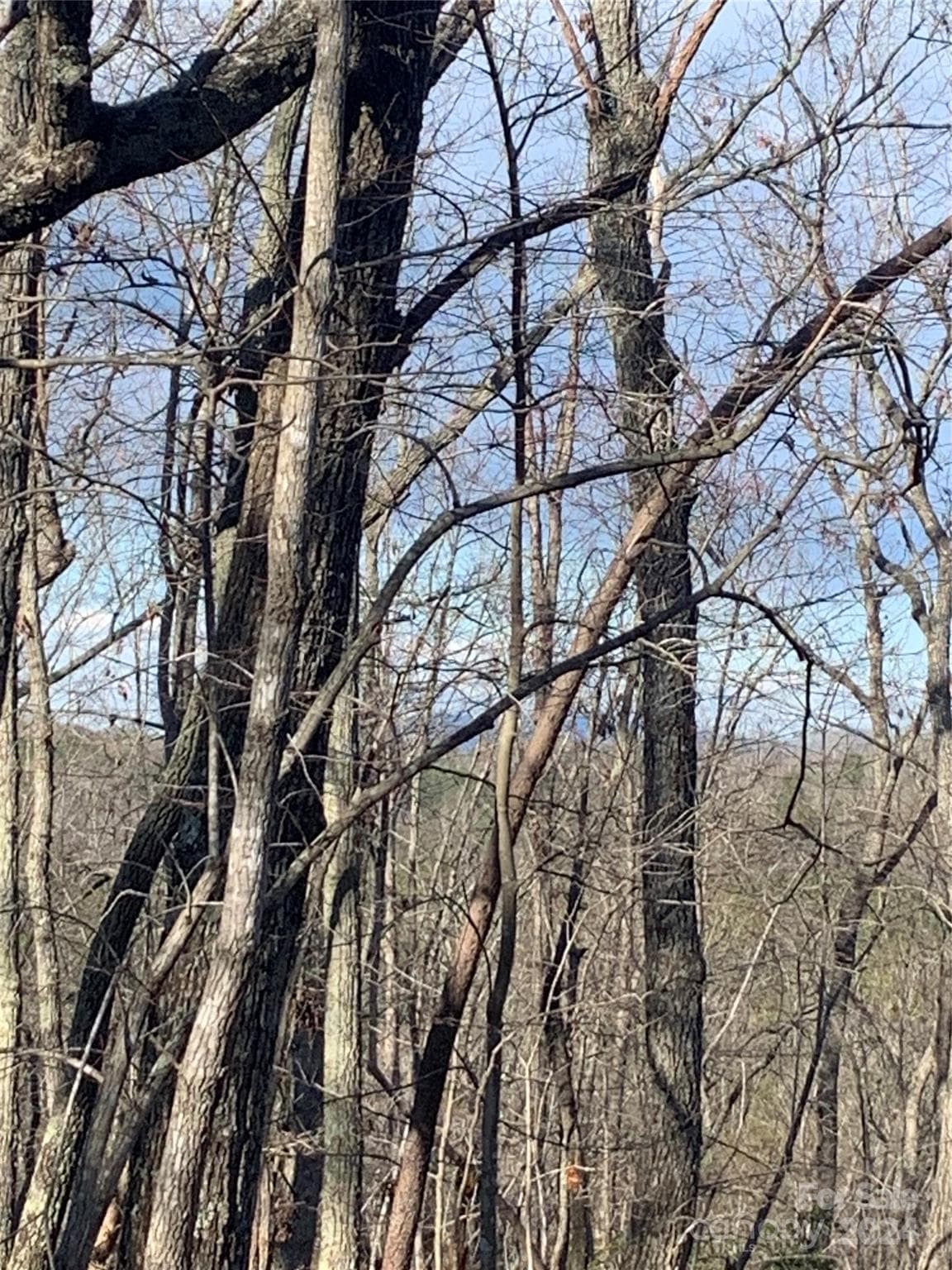 Acreage at Mill Spring, photo 5 of 17