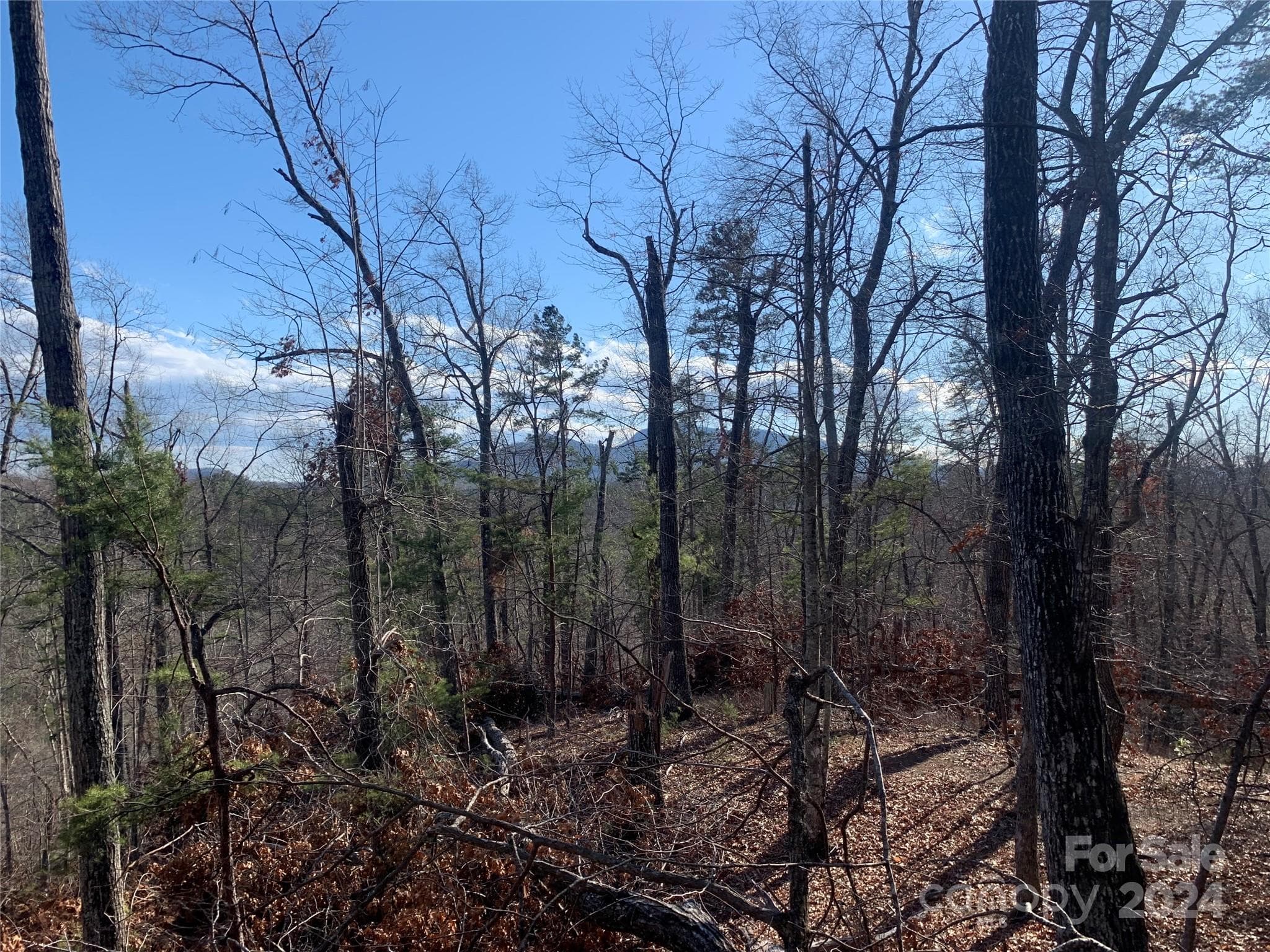 Acreage at Mill Spring, photo 6 of 17