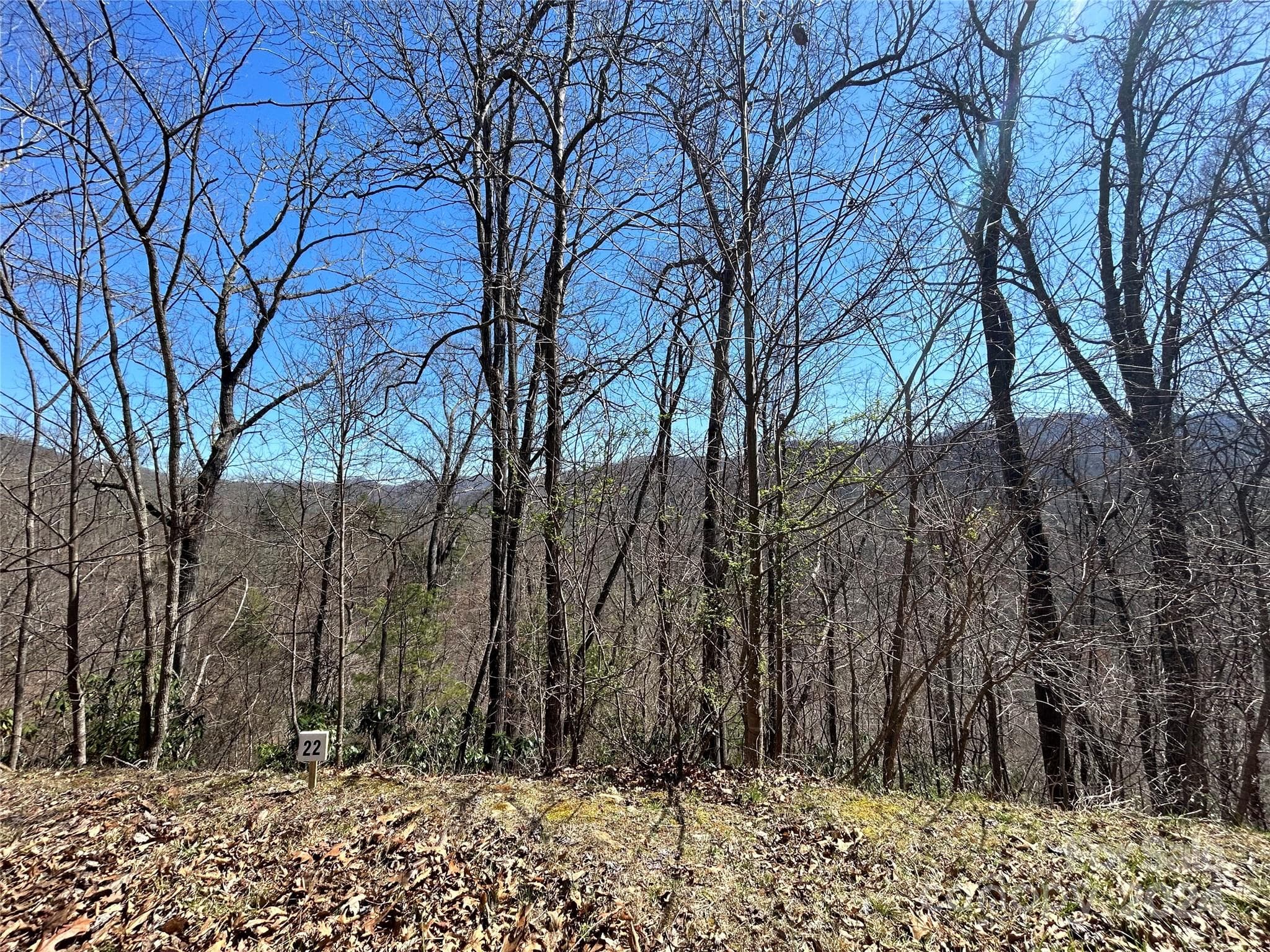 Lot at Marshall, photo 5 of 22