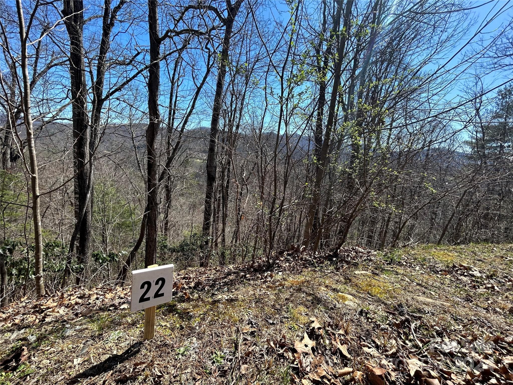 Lot at Marshall, photo 6 of 22