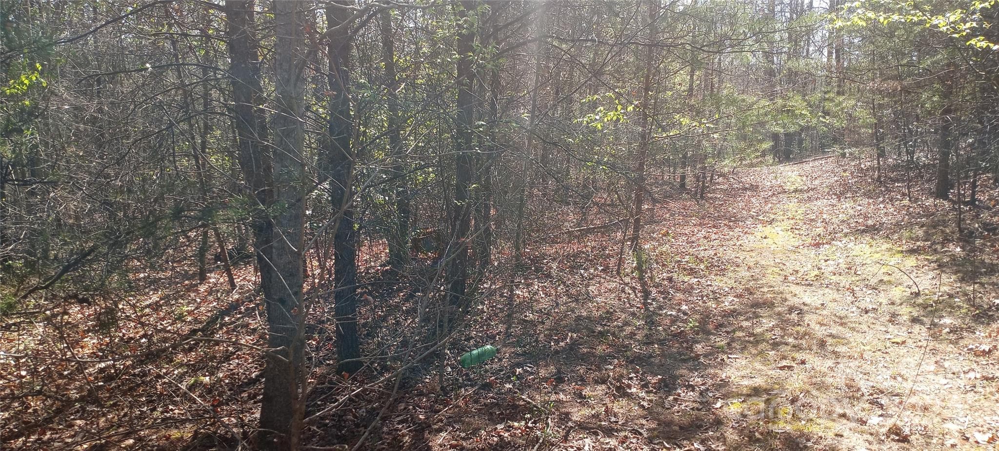 Lot at Lot 5 Lane Street, Morganton, photo 3 of 5