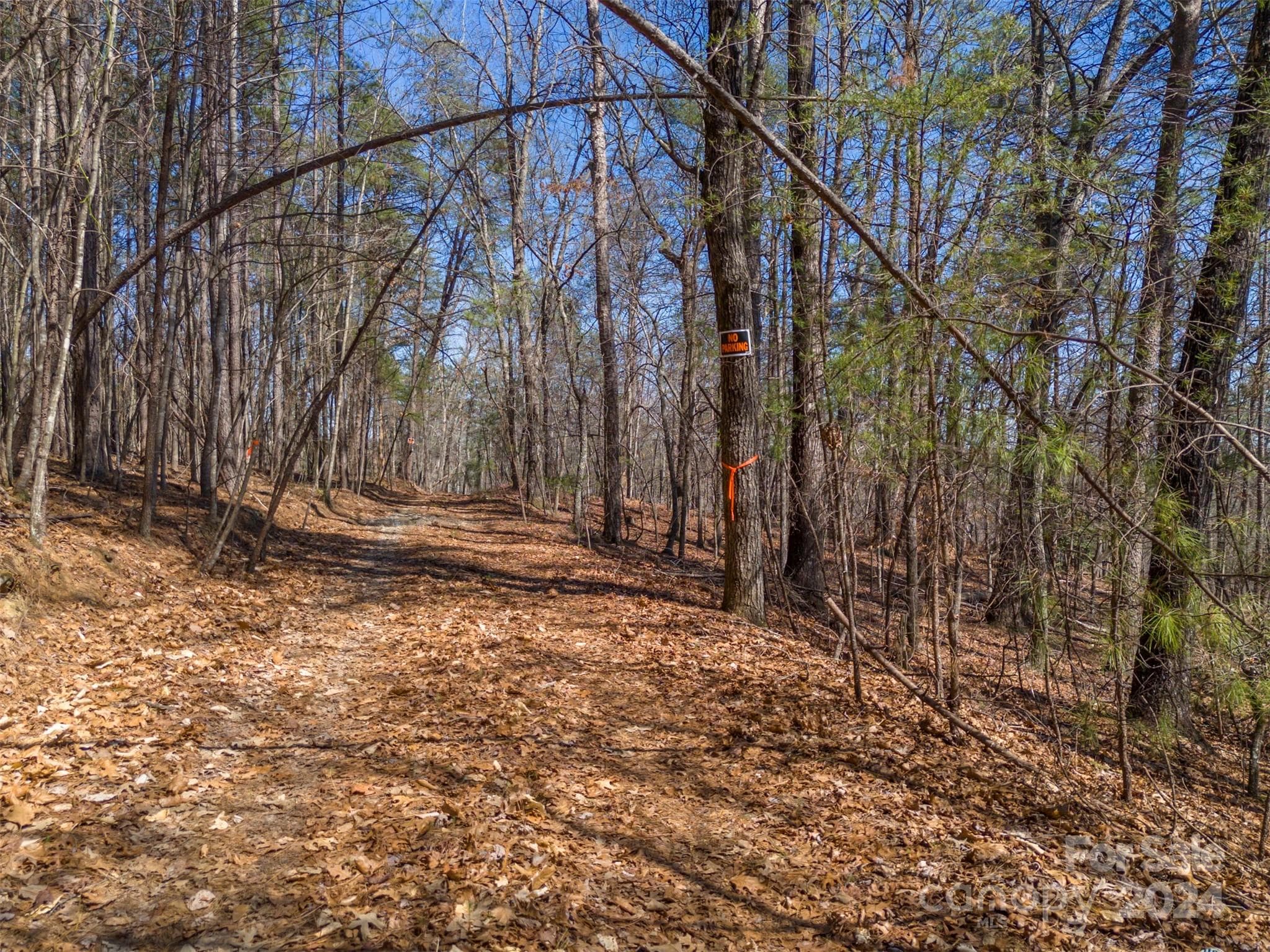 Acreage at Mill Spring, photo 9 of 17