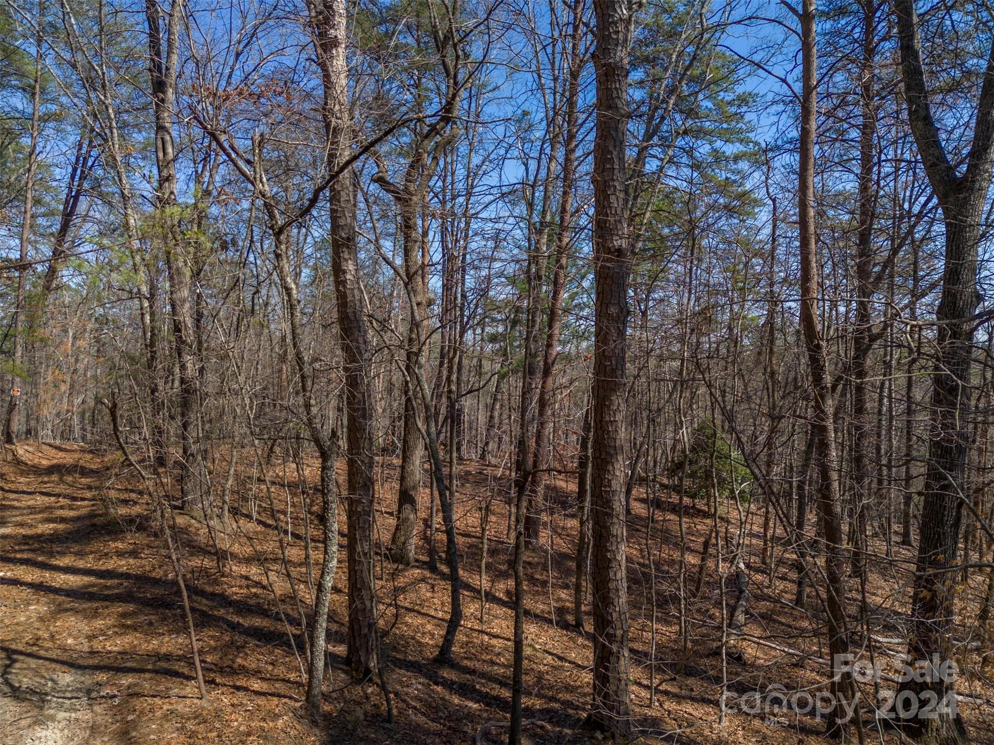 Acreage at Mill Spring, photo 10 of 17