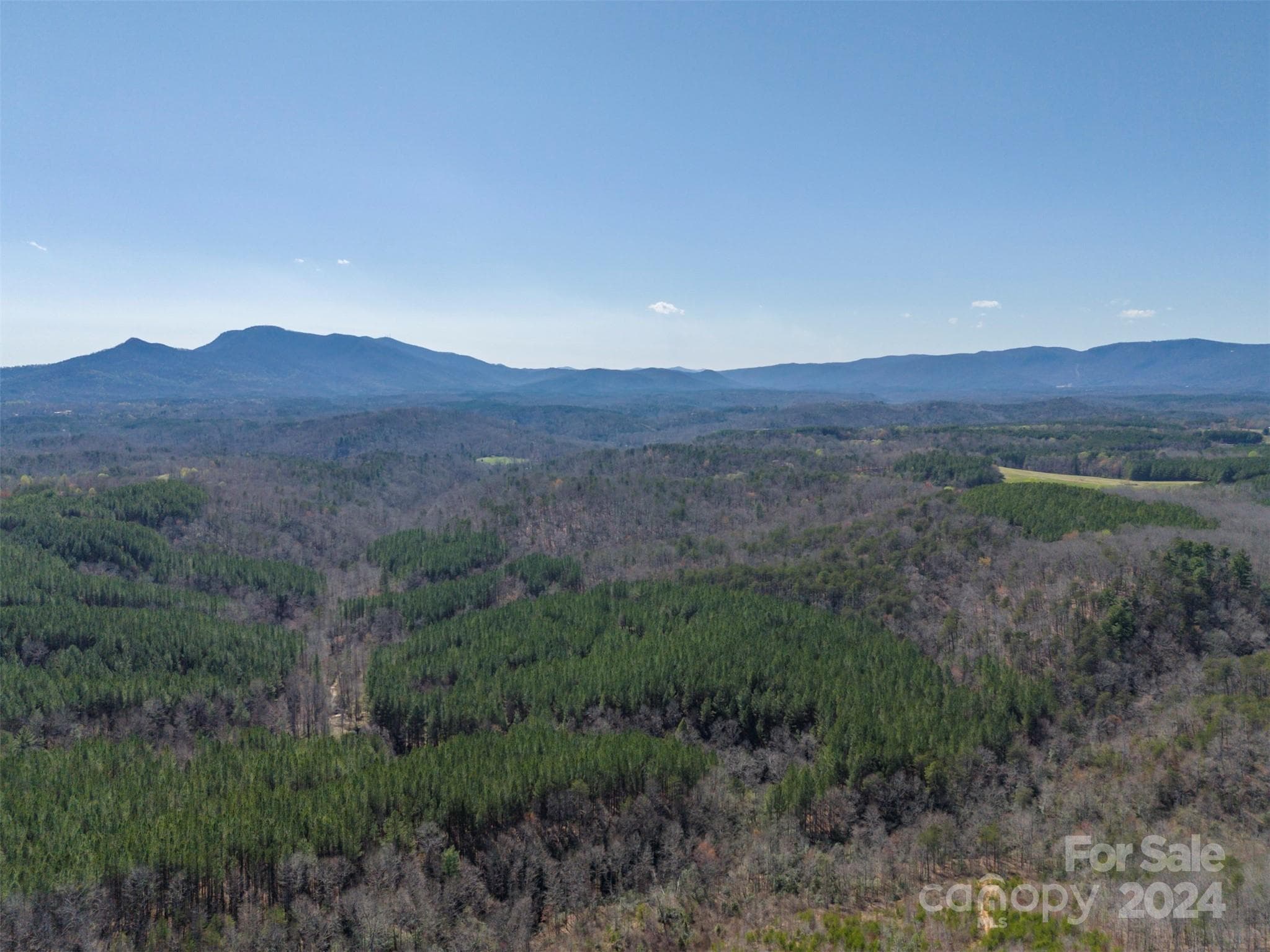 Acreage at Mill Spring, photo 14 of 17