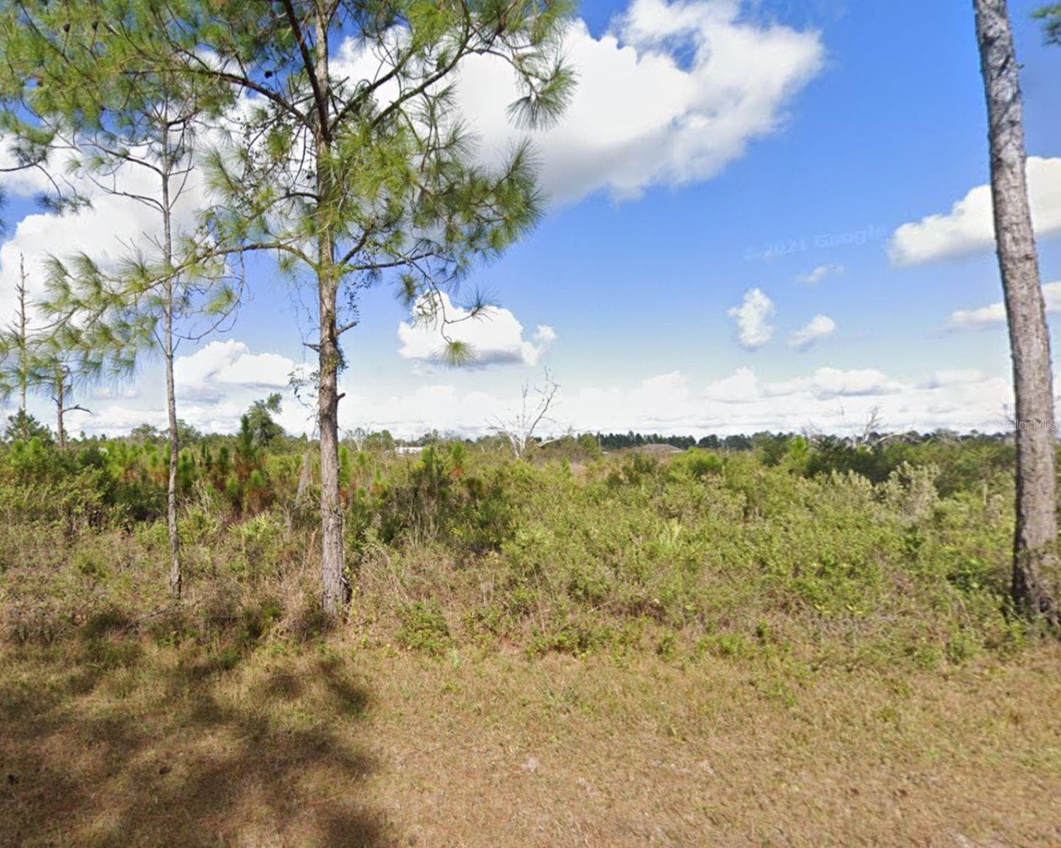 304 ORCHID DR