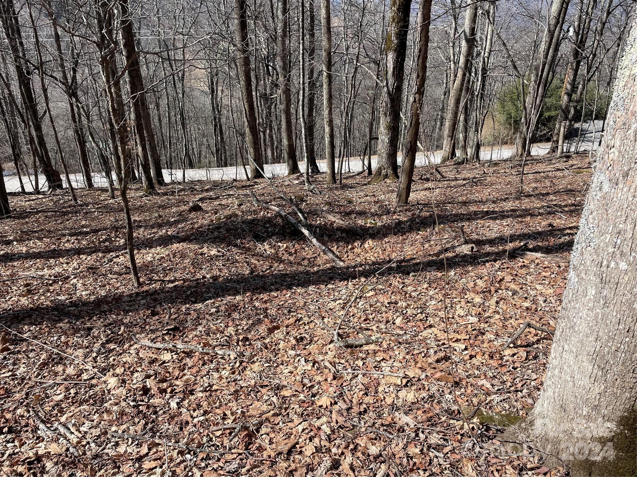 Lot at 000 El Miner Drive, Mars Hill, photo 6 of 25