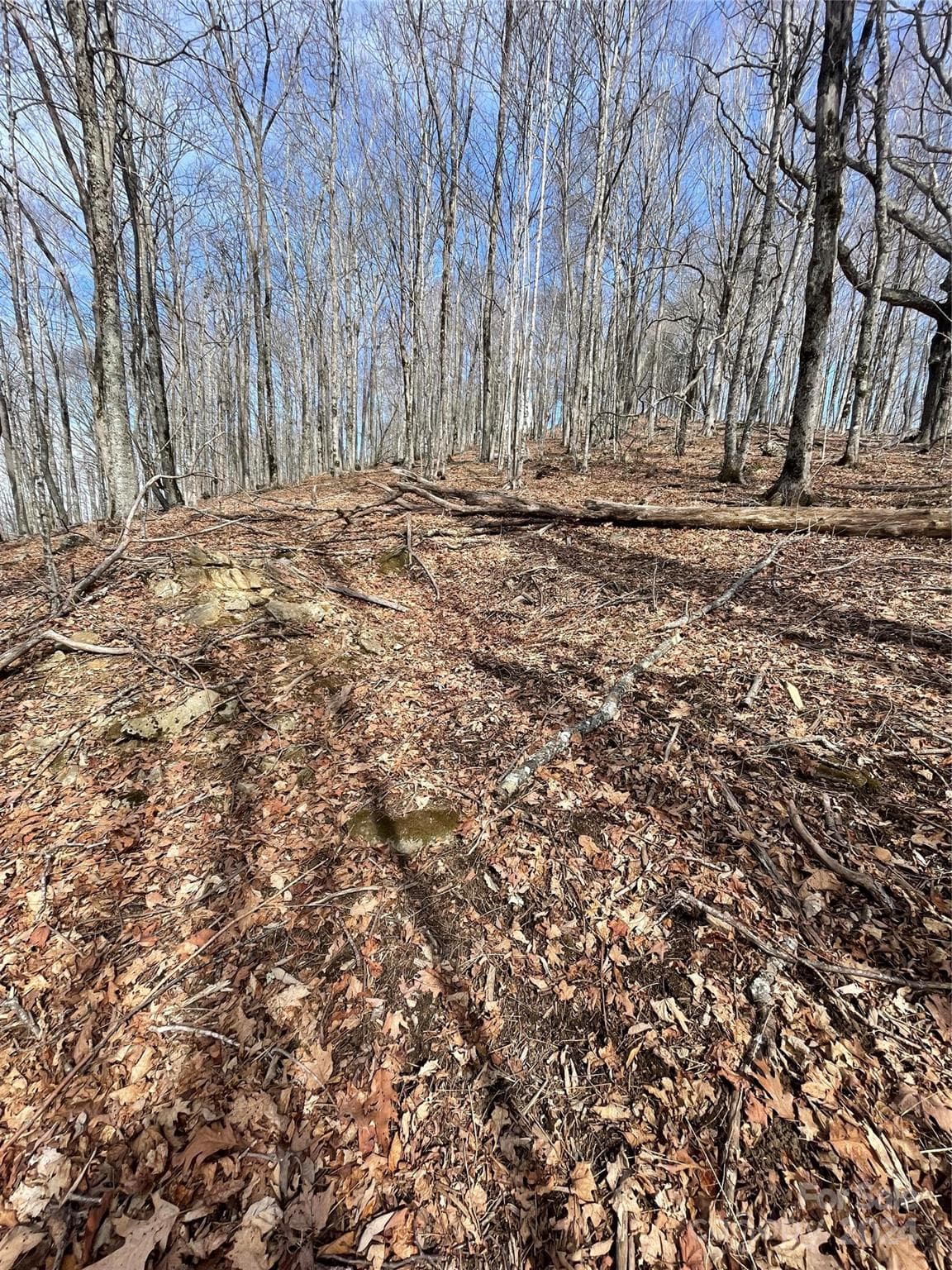 Lot at 000 El Miner Drive, Mars Hill, photo 7 of 25
