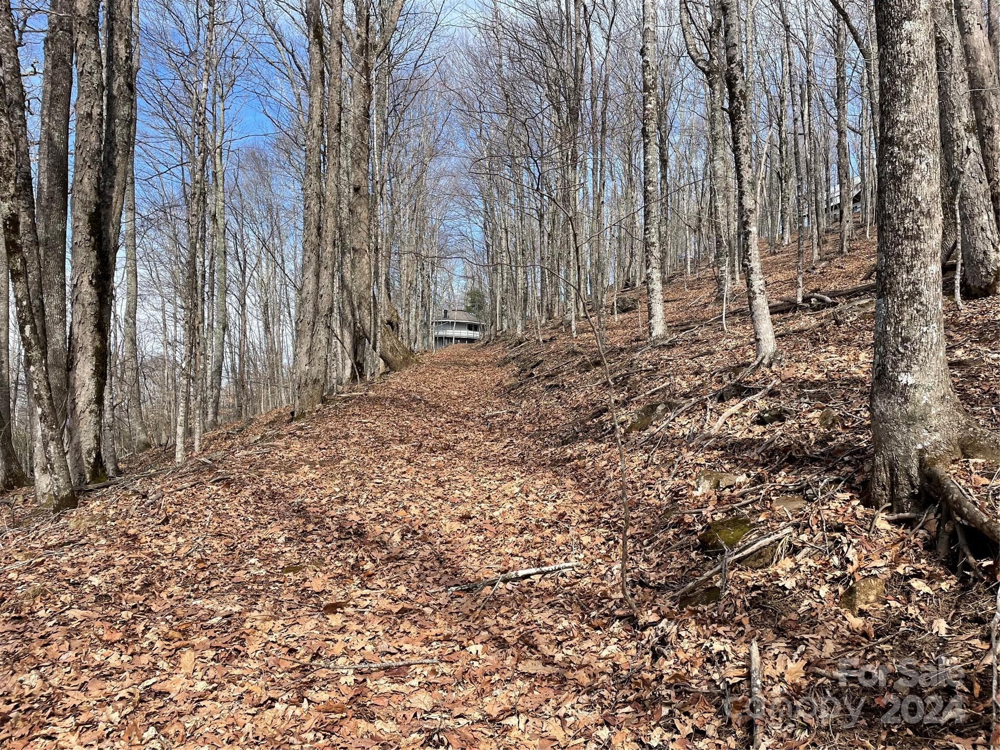 Lot at 000 El Miner Drive, Mars Hill, photo 9 of 25