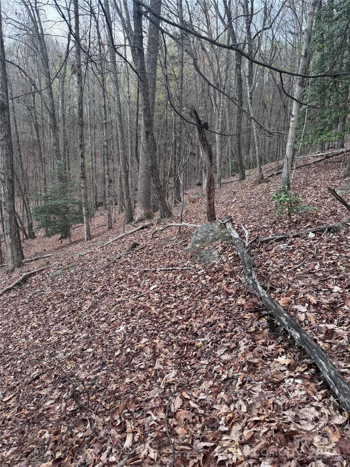 Lot at Lake Lure, photo 3 of 13