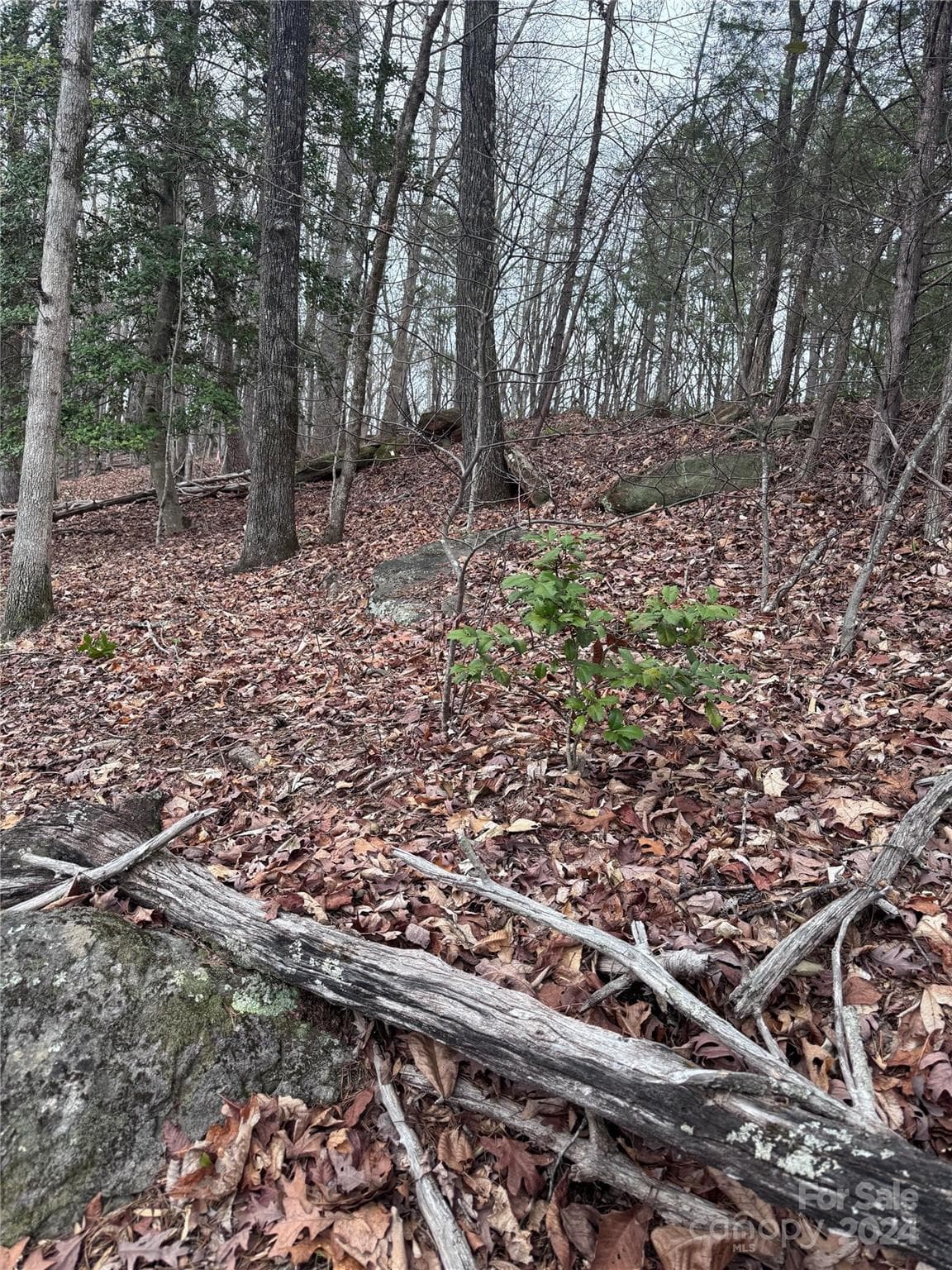 Lot at Lake Lure, photo 4 of 13