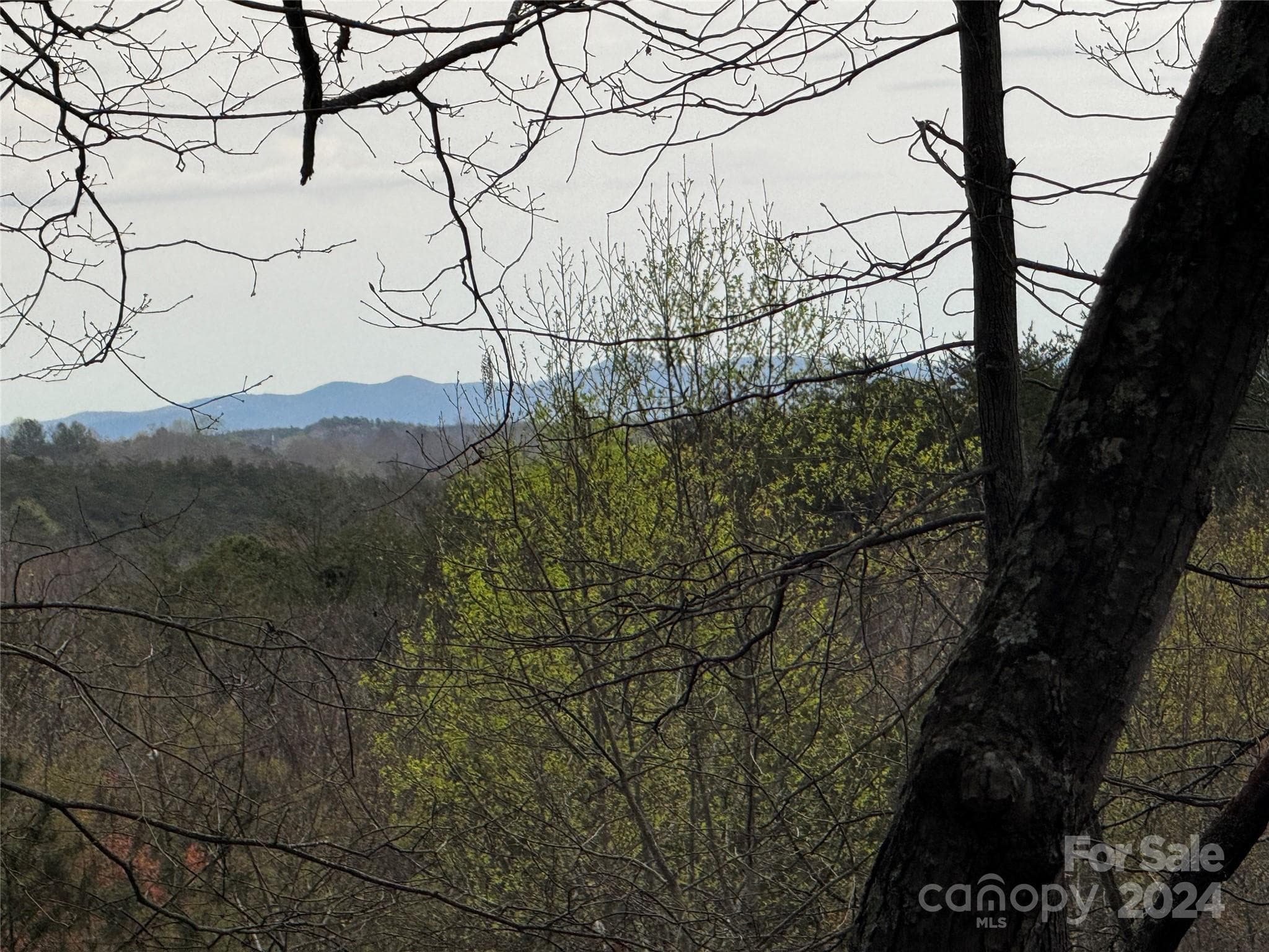 Lot at Lake Lure, photo 5 of 13