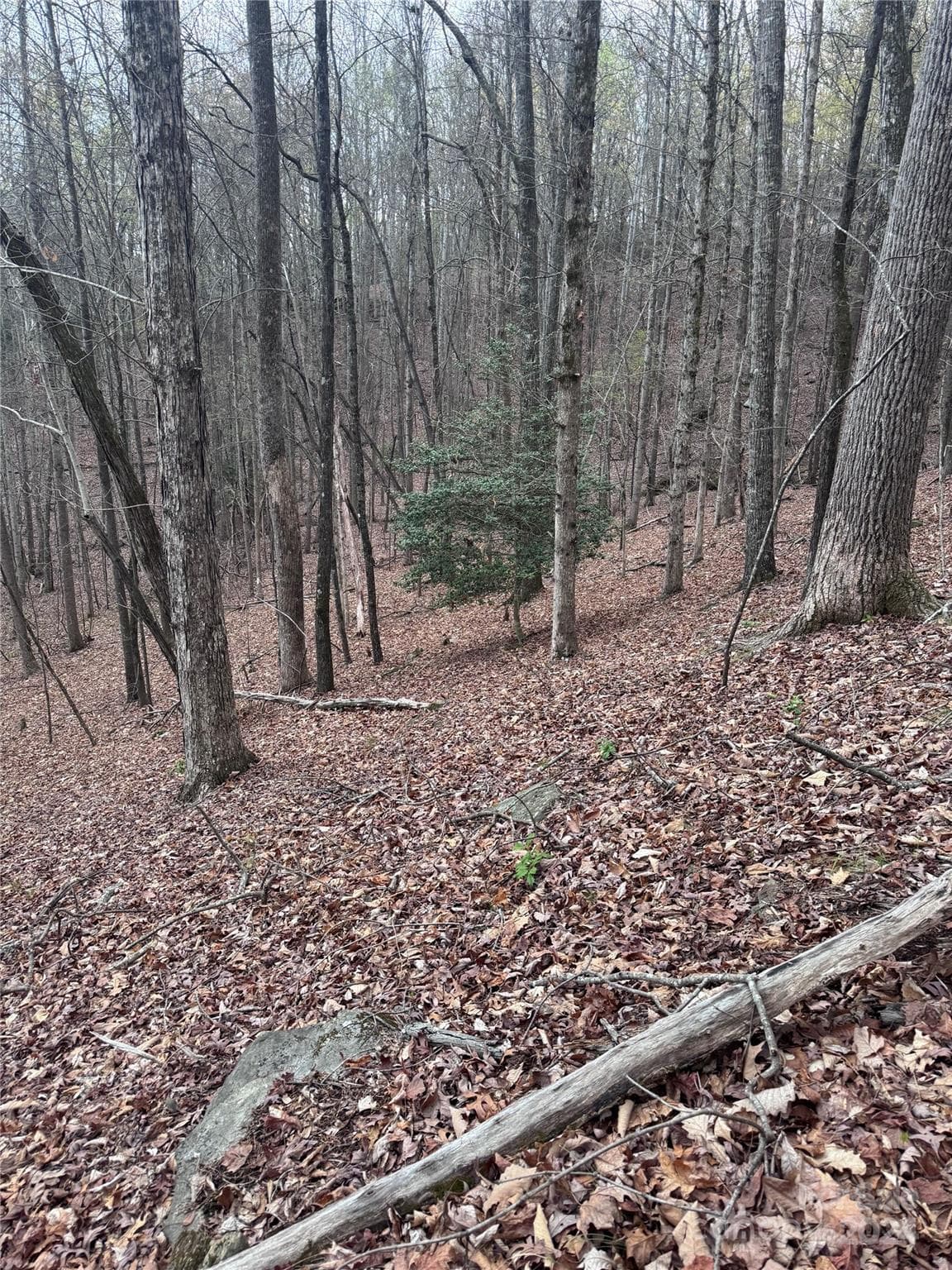 Lot at Lake Lure, photo 6 of 13