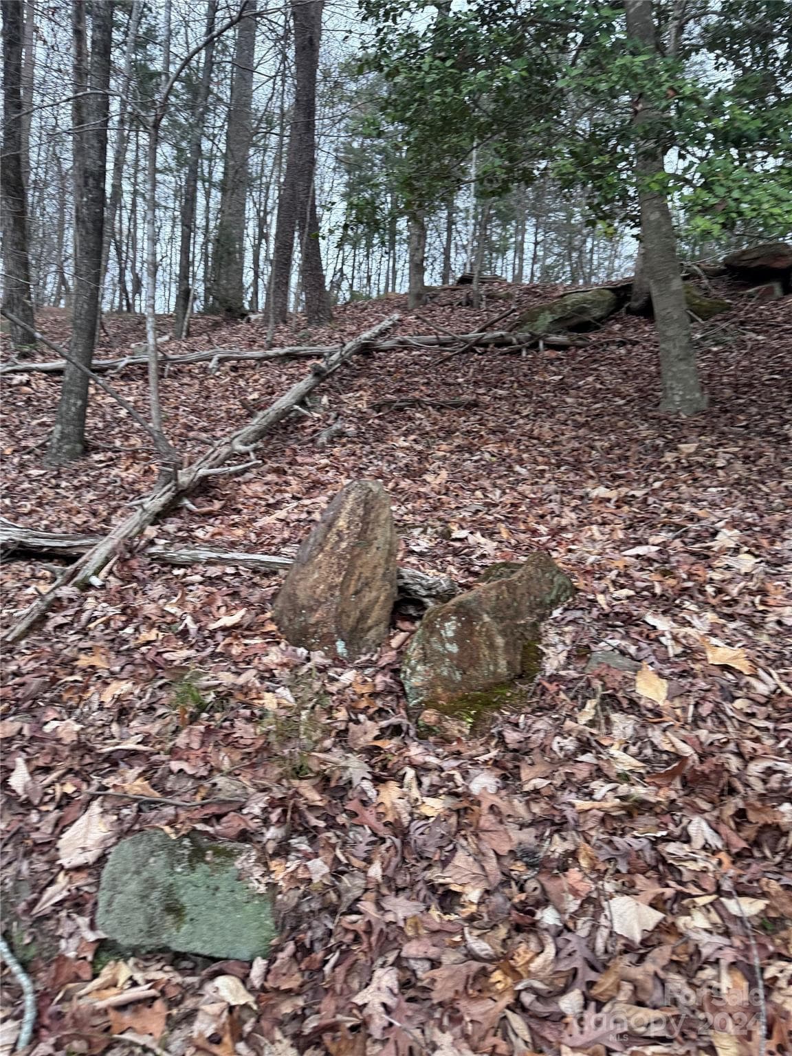 Lot at Lake Lure, photo 7 of 13
