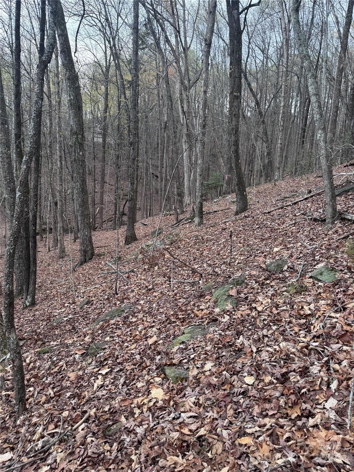 Lot at Lake Lure, photo 8 of 13