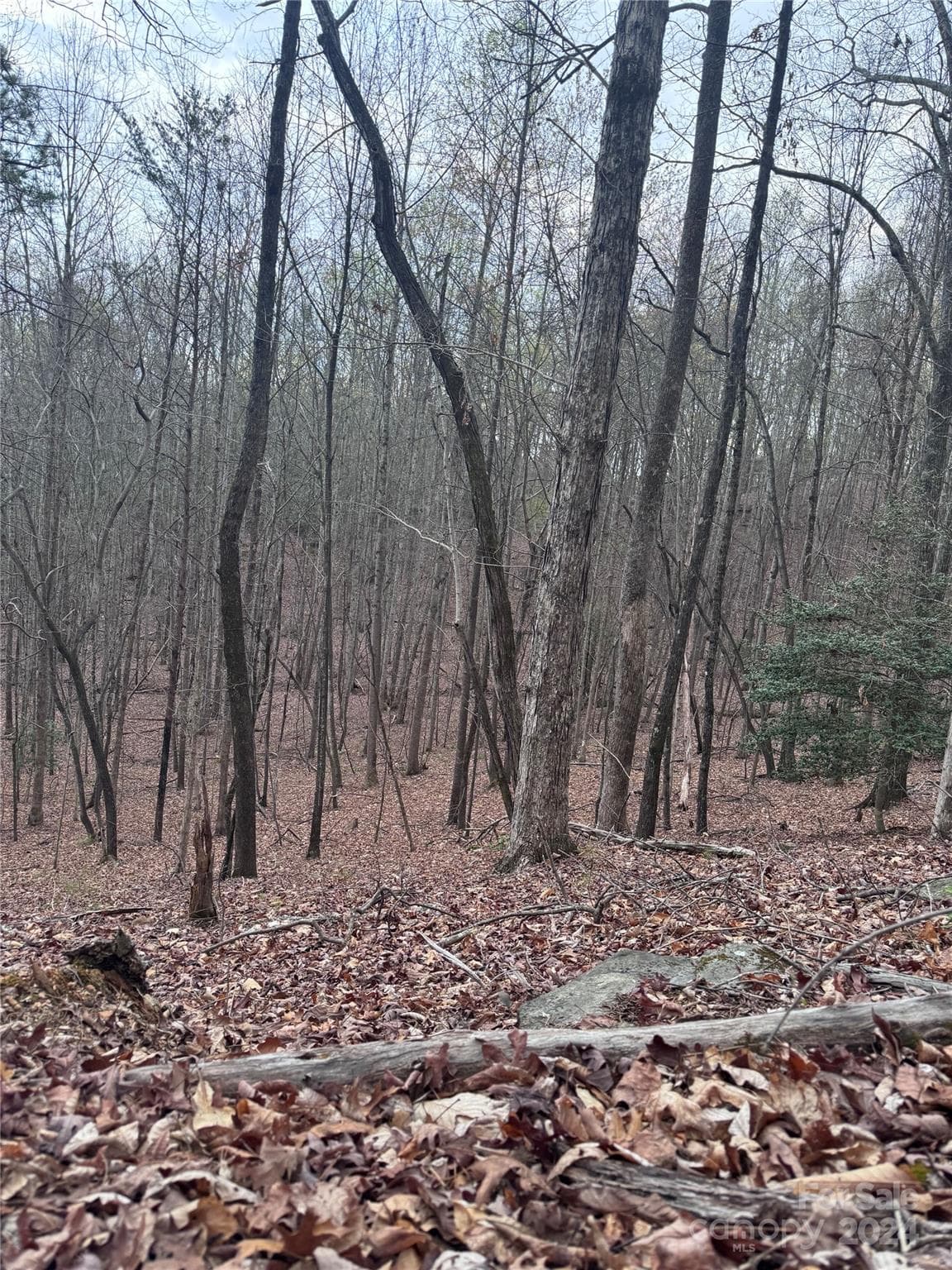 Lot at Lake Lure, photo 10 of 13