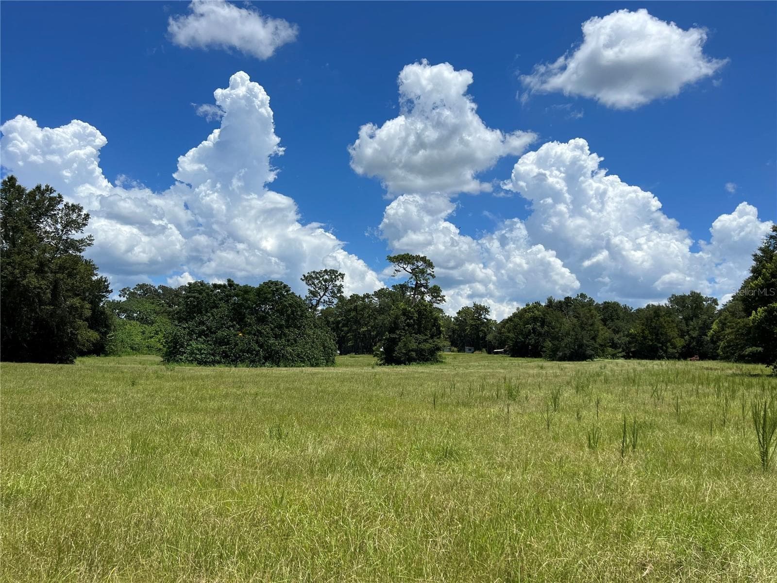 Land at 5500 SE 24TH ST, OCALA, photo 2 of 13