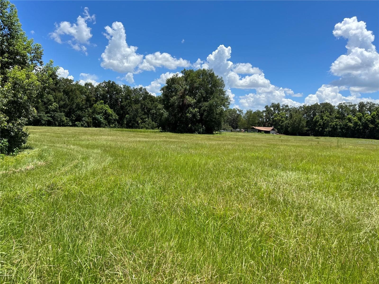 Land at 5500 SE 24TH ST, OCALA, photo 3 of 13