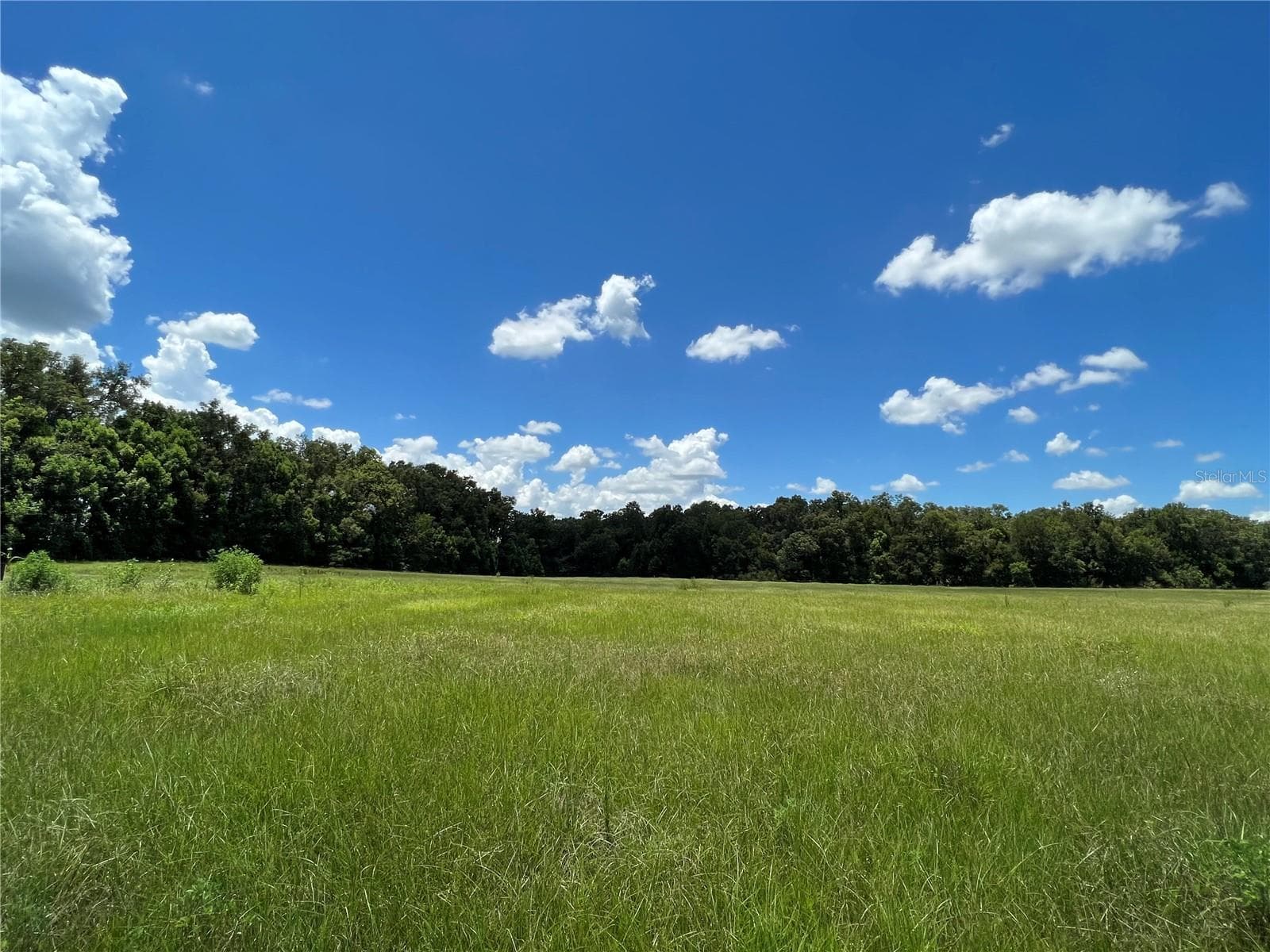 Land at 5500 SE 24TH ST, OCALA, photo 4 of 13