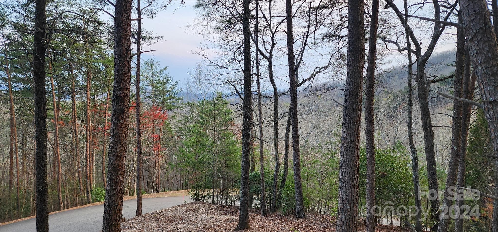 Lot 34 Wilderness Creek Way