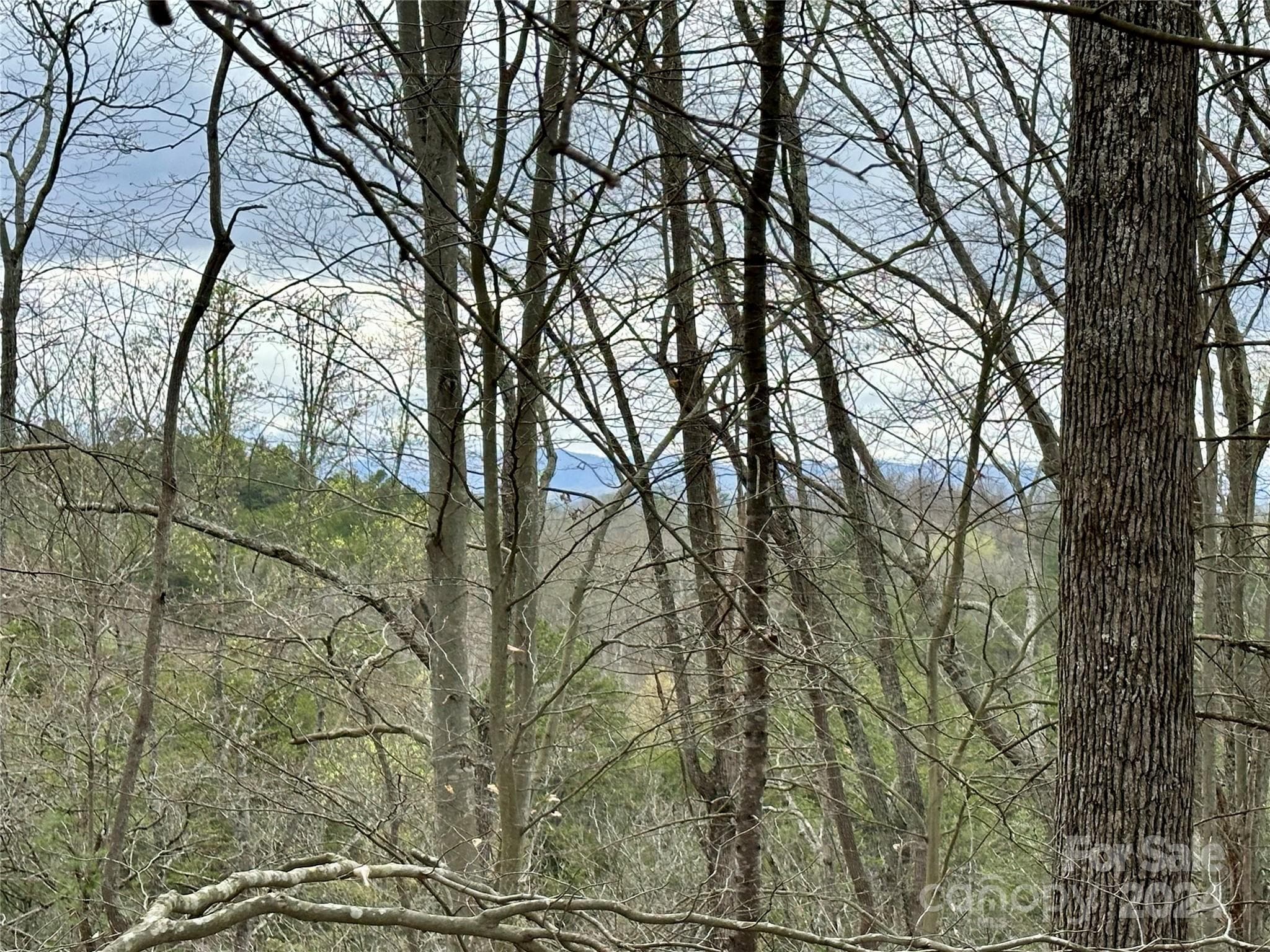 Lot at 000 Fletcher Martin Road, Alexander, photo 4 of 35