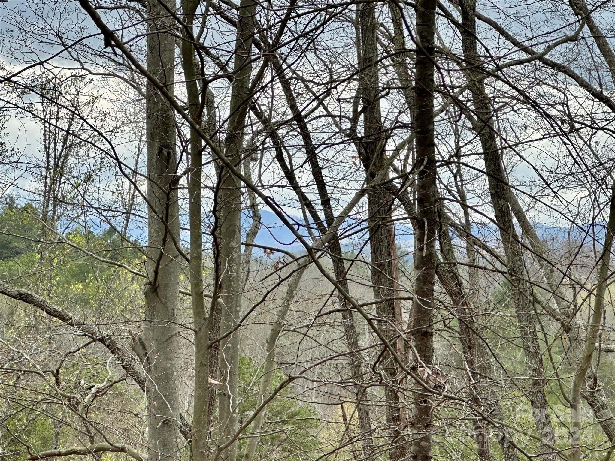 Lot at 000 Fletcher Martin Road, Alexander, photo 6 of 35