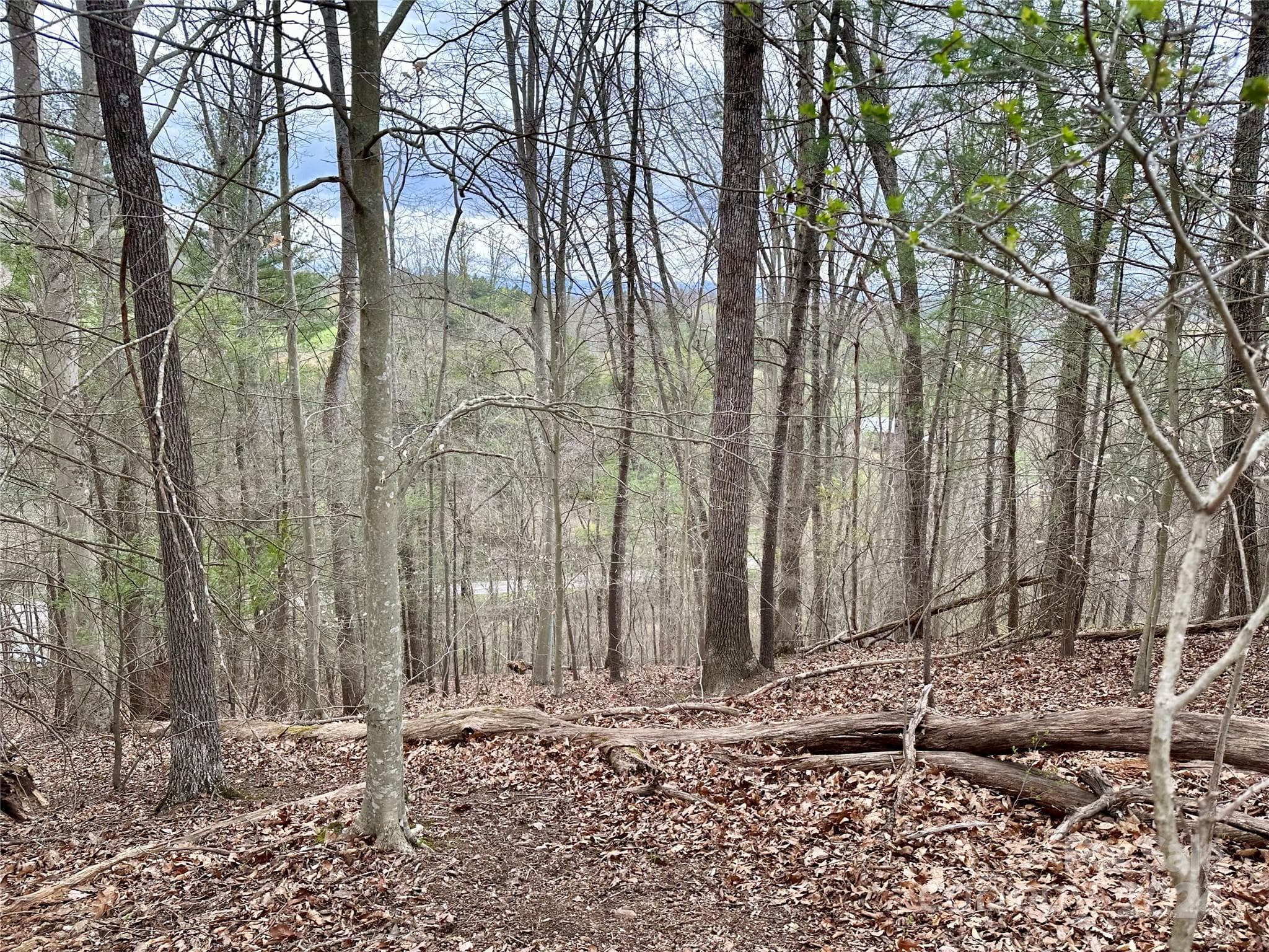 Lot at 000 Fletcher Martin Road, Alexander, photo 7 of 35