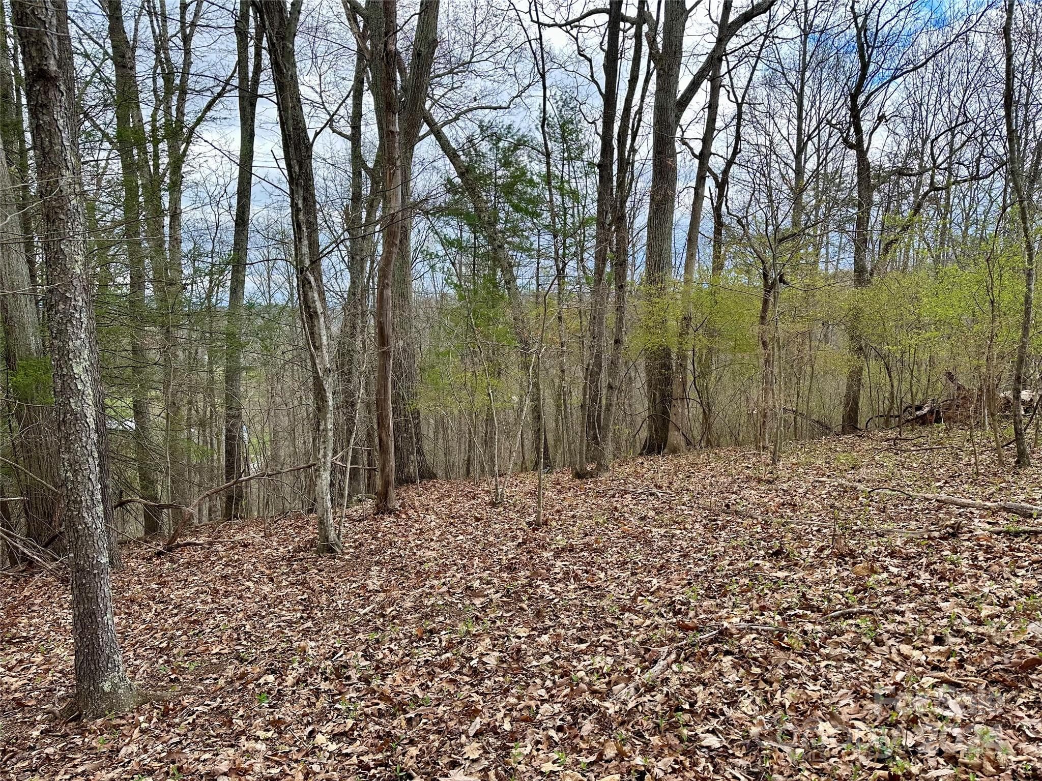Lot at 000 Fletcher Martin Road, Alexander, photo 8 of 35