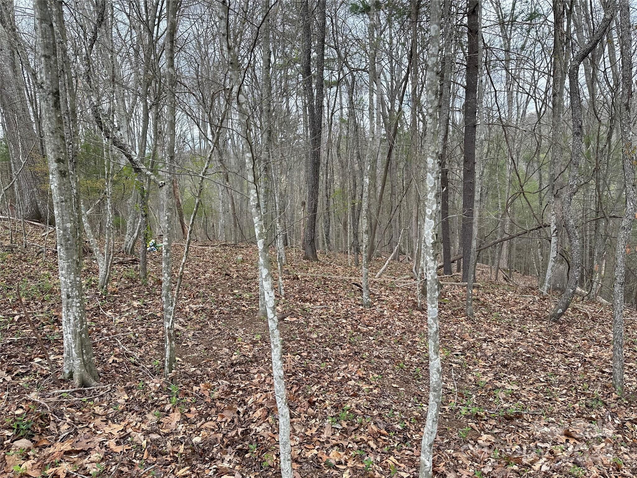 Lot at 000 Fletcher Martin Road, Alexander, photo 9 of 35