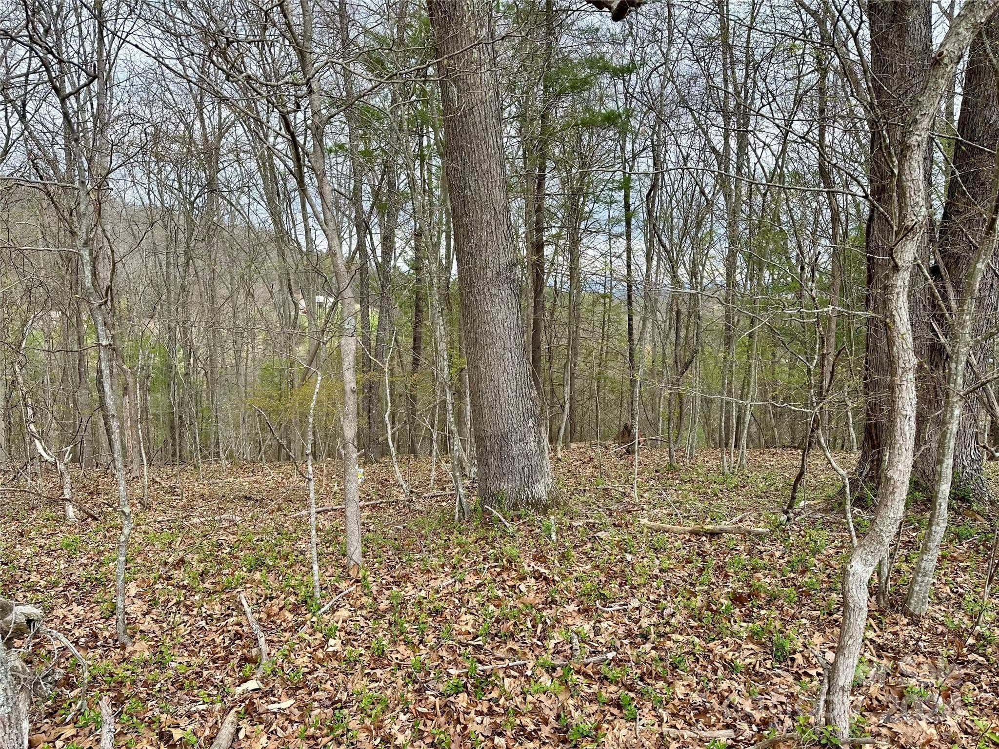 Lot at 000 Fletcher Martin Road, Alexander, photo 10 of 35