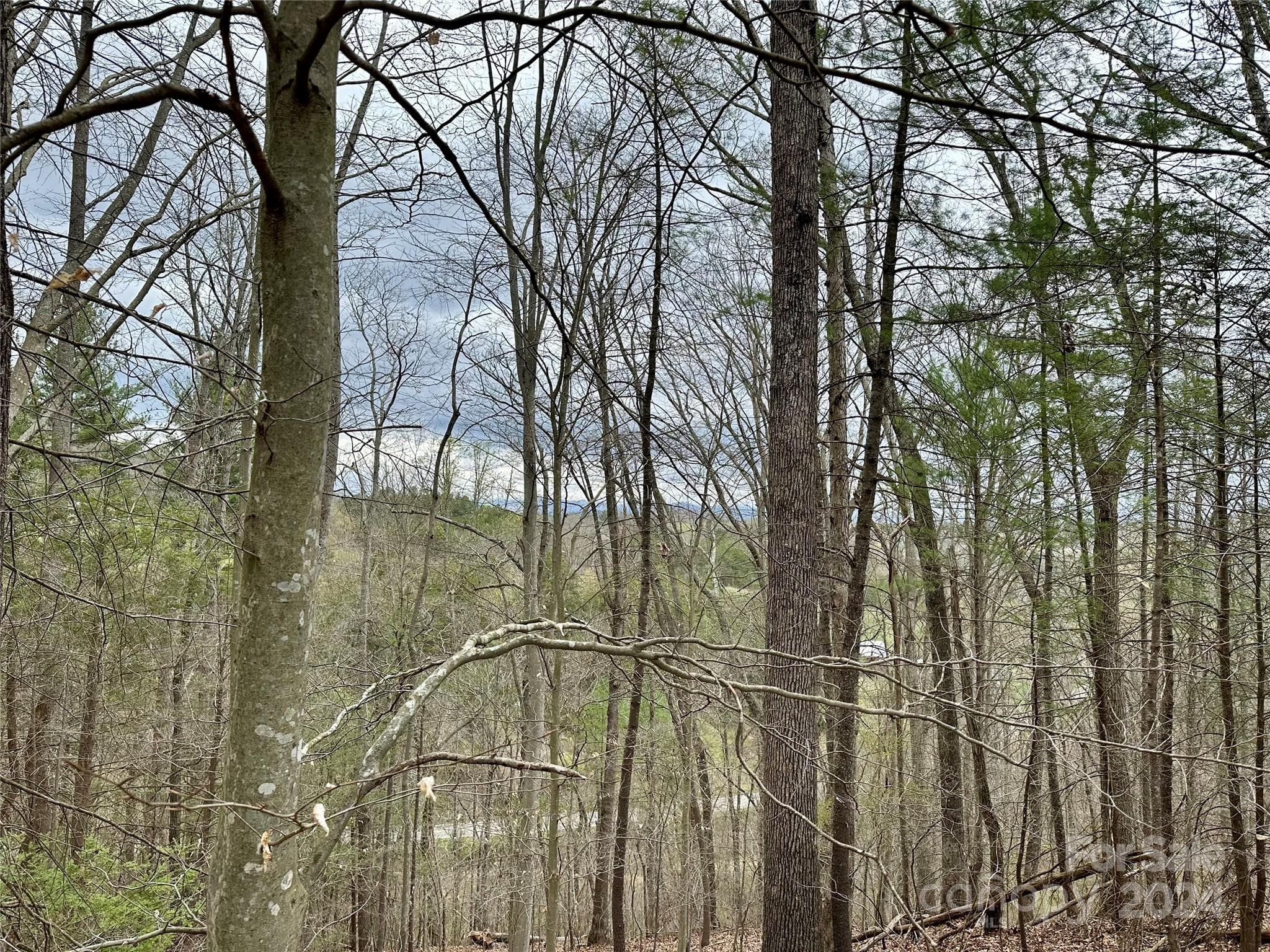 Lot at 000 Fletcher Martin Road, Alexander, photo 11 of 35