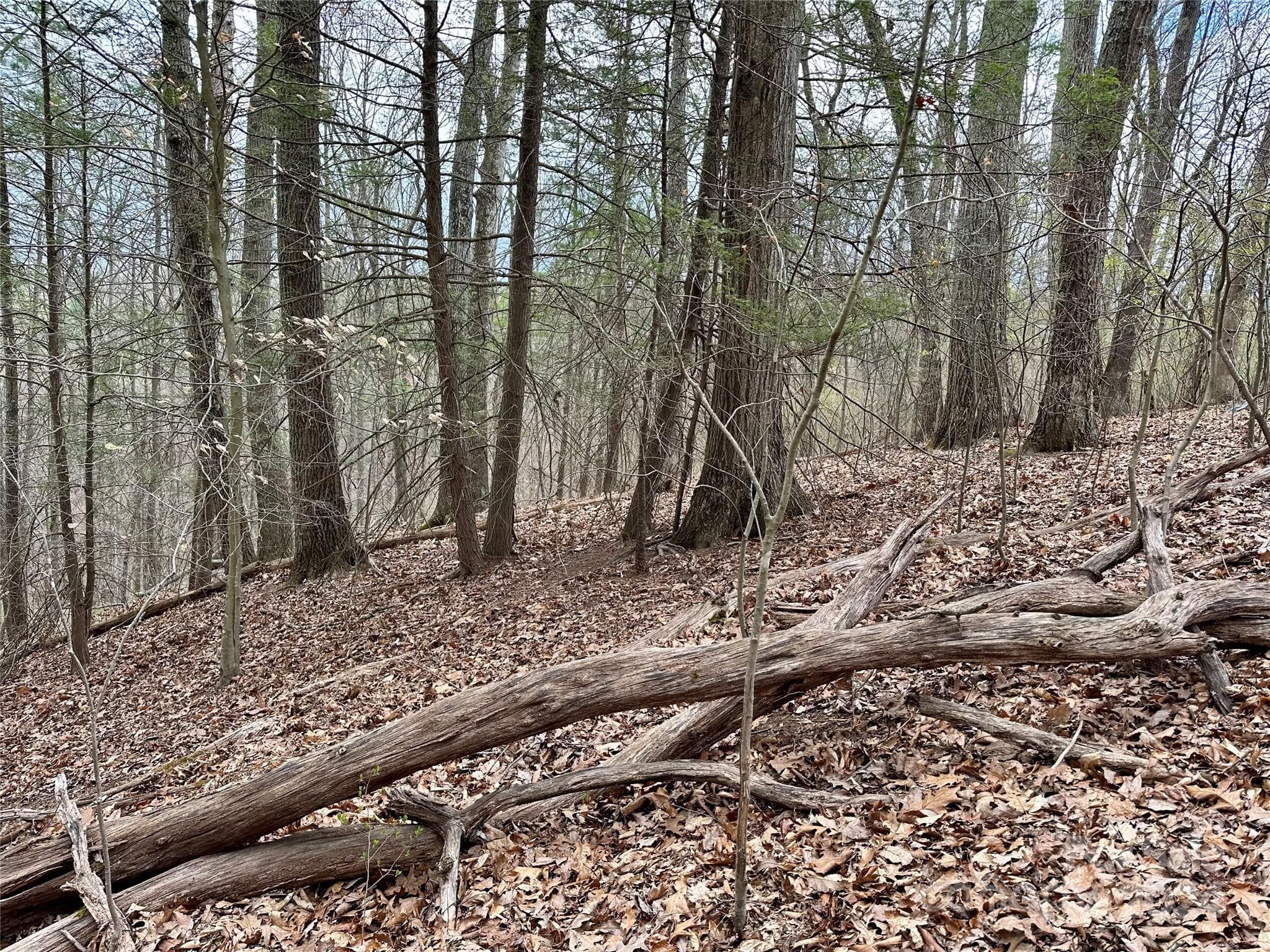 Lot at 000 Fletcher Martin Road, Alexander, photo 12 of 35