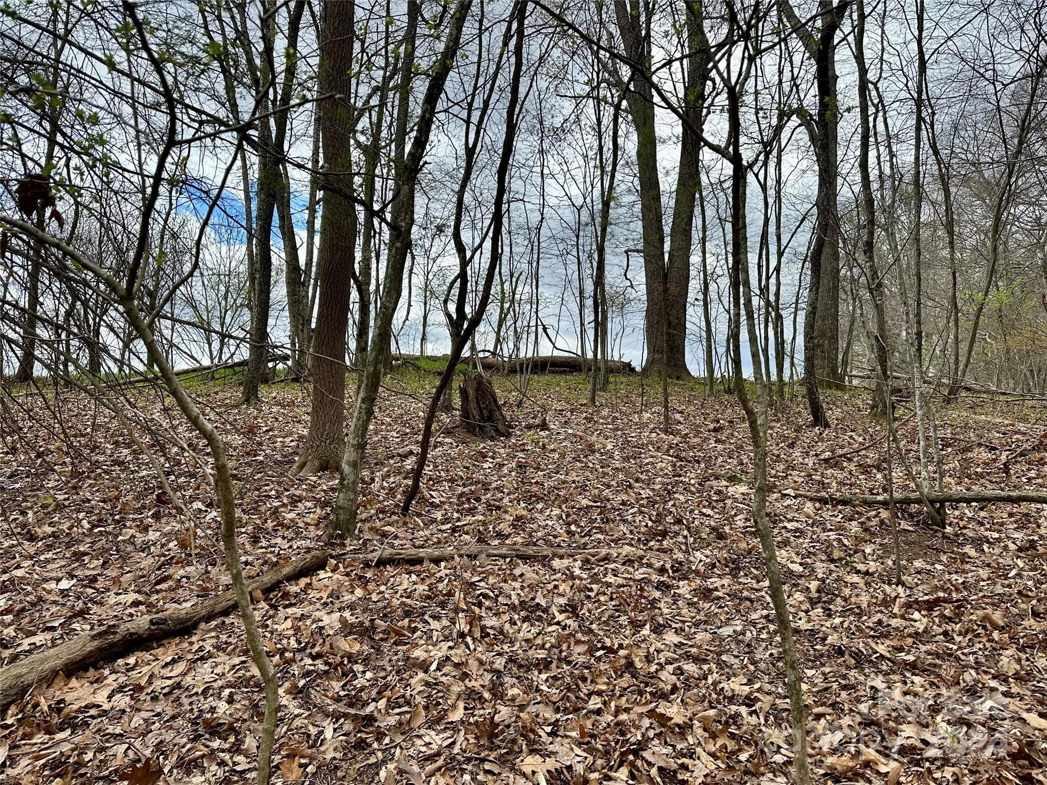 Lot at 000 Fletcher Martin Road, Alexander, photo 13 of 35