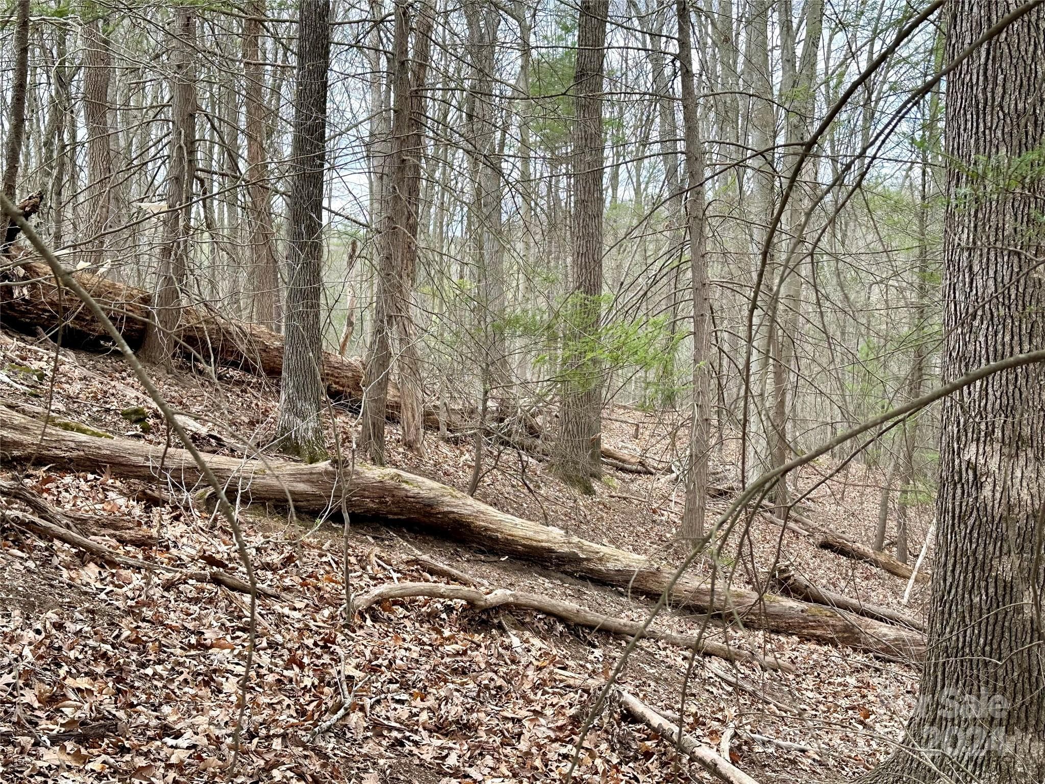 Lot at 000 Fletcher Martin Road, Alexander, photo 16 of 35