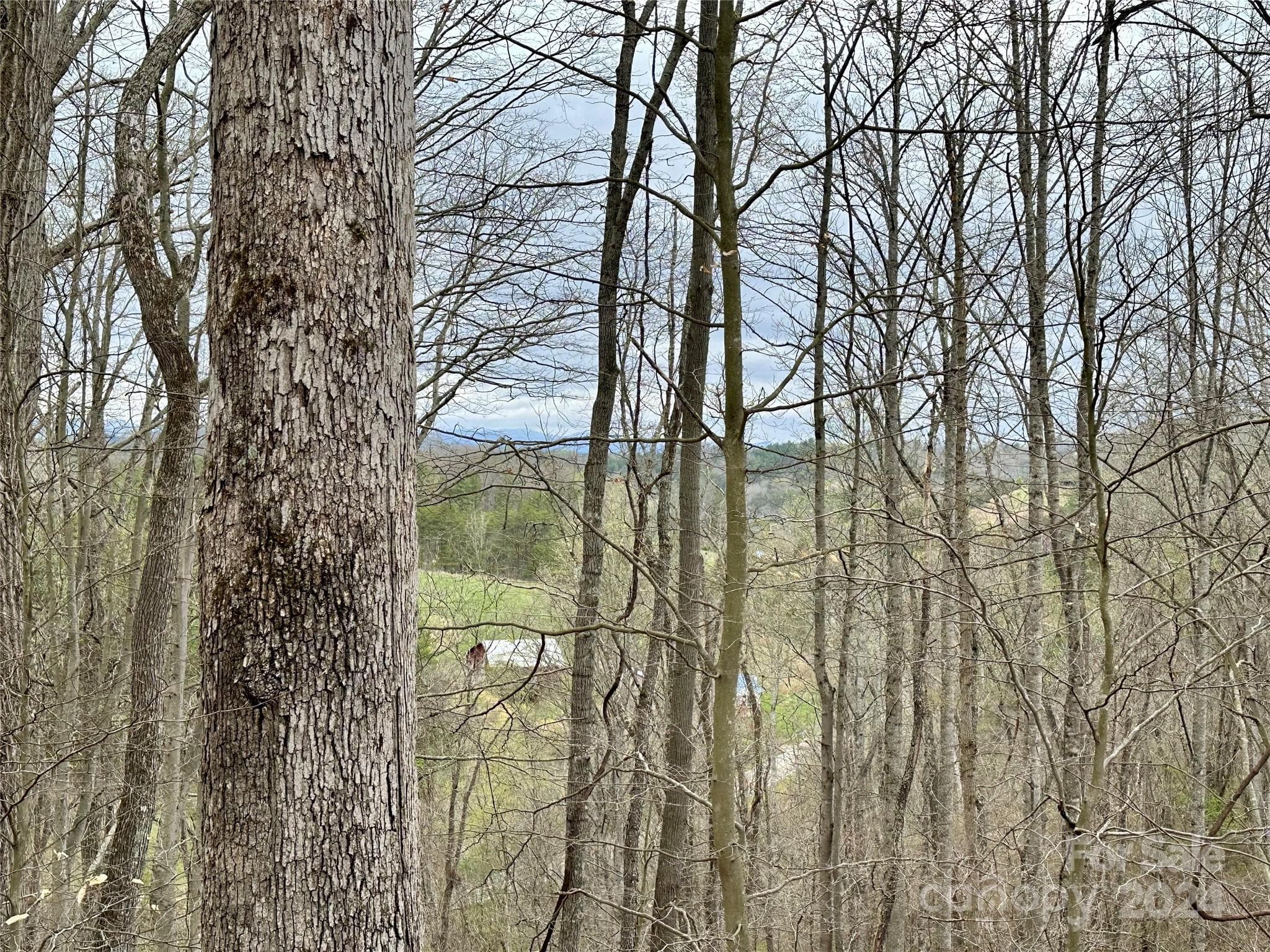 Lot at 000 Fletcher Martin Road, Alexander, photo 17 of 35