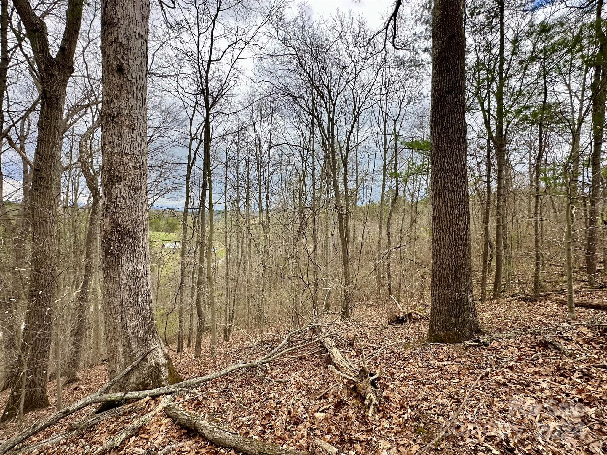 Lot at 000 Fletcher Martin Road, Alexander, photo 18 of 35