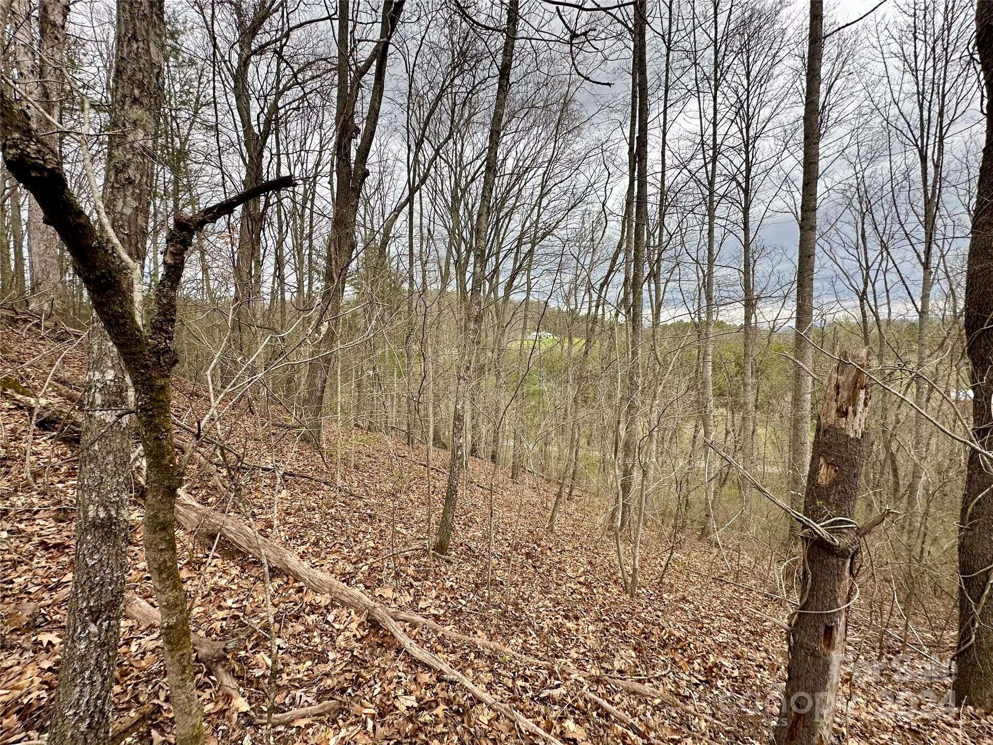 Lot at 000 Fletcher Martin Road, Alexander, photo 19 of 35