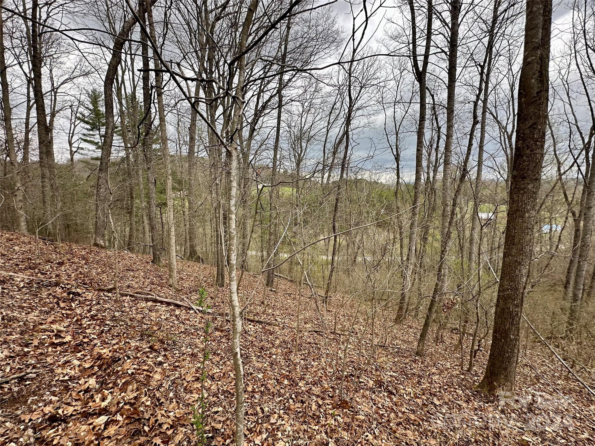 Lot at 000 Fletcher Martin Road, Alexander, photo 20 of 35