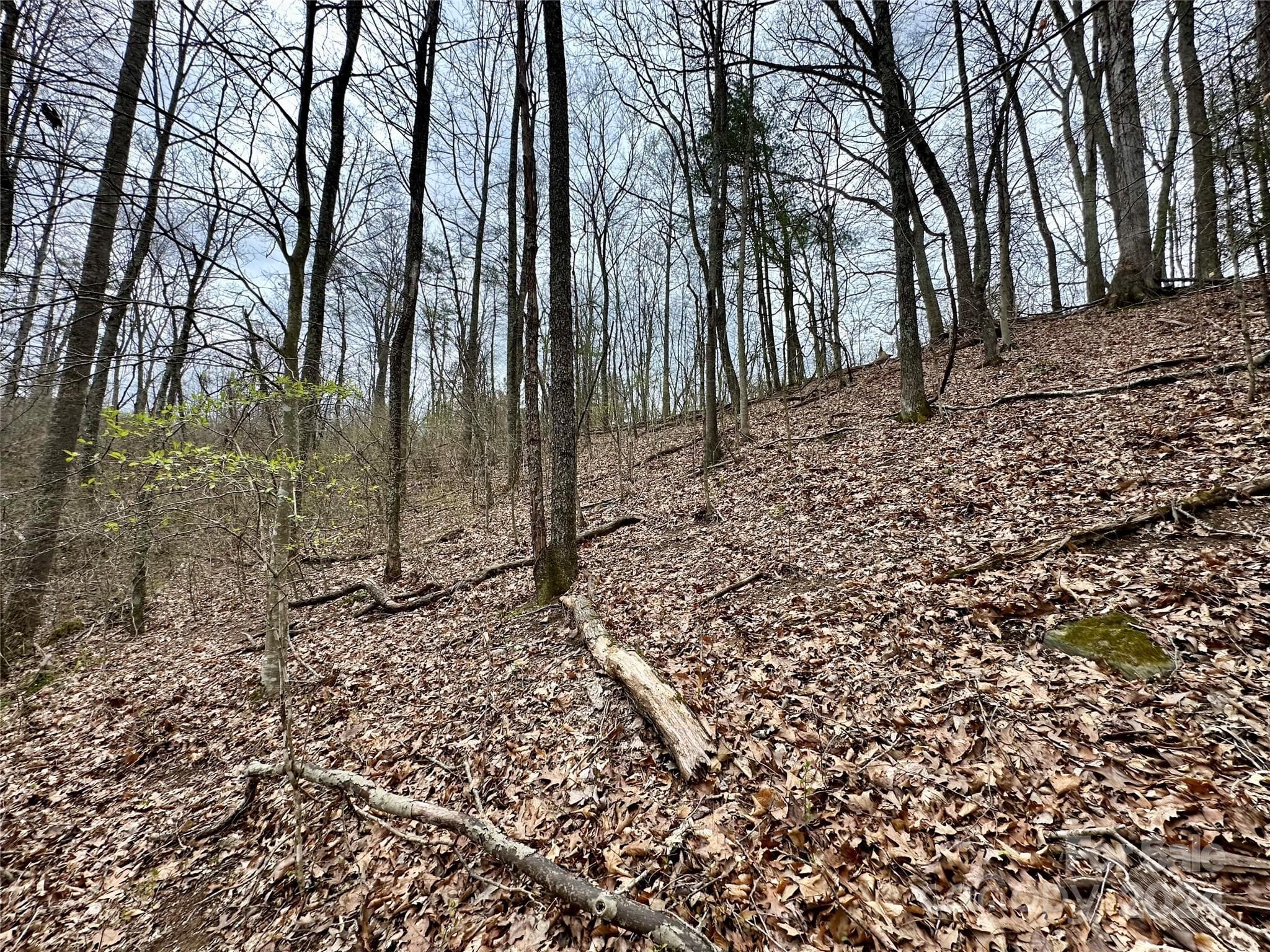 Lot at 000 Fletcher Martin Road, Alexander, photo 21 of 35