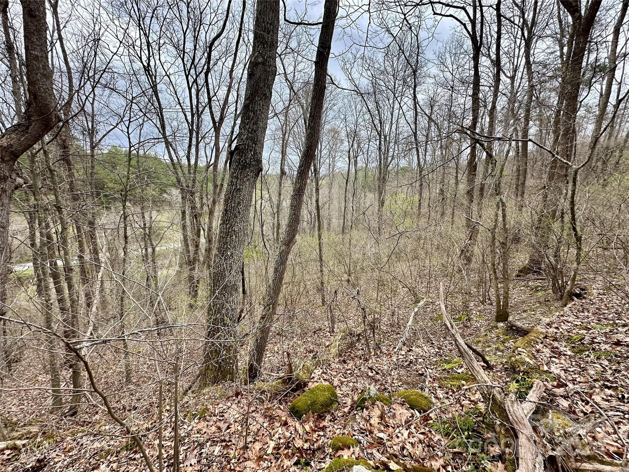 Lot at 000 Fletcher Martin Road, Alexander, photo 22 of 35