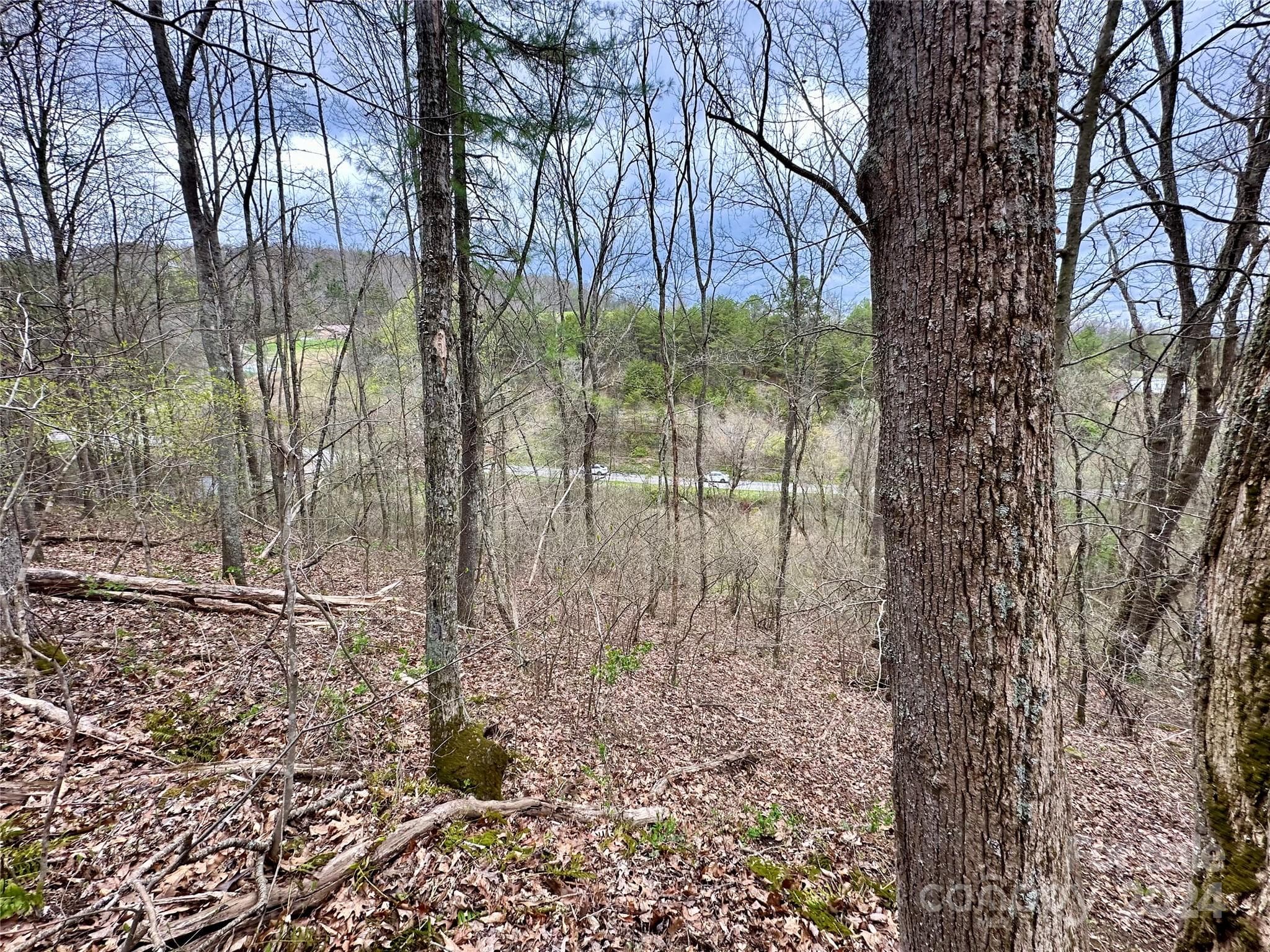 Lot at 000 Fletcher Martin Road, Alexander, photo 23 of 35